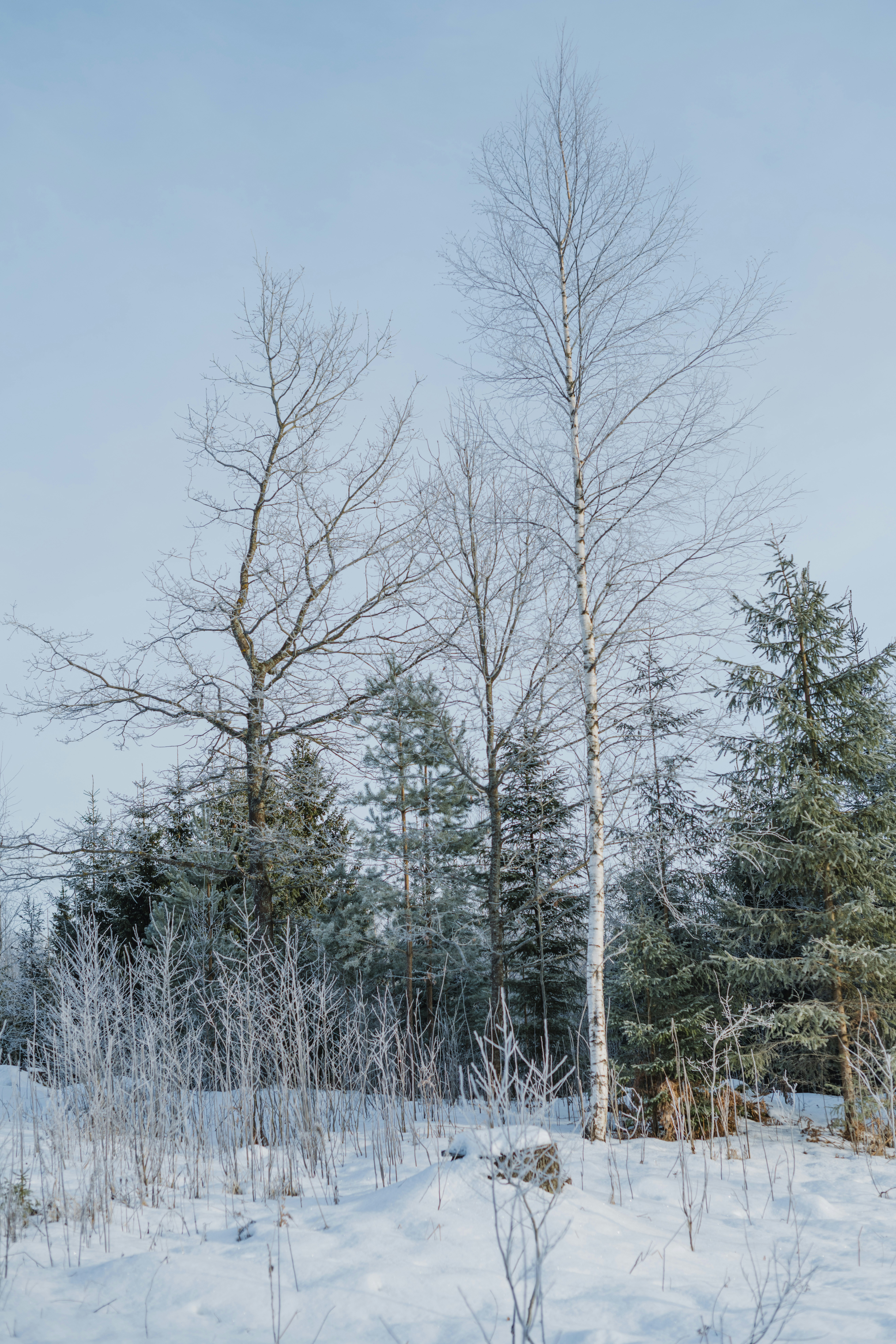 Photo by anitaaustvika