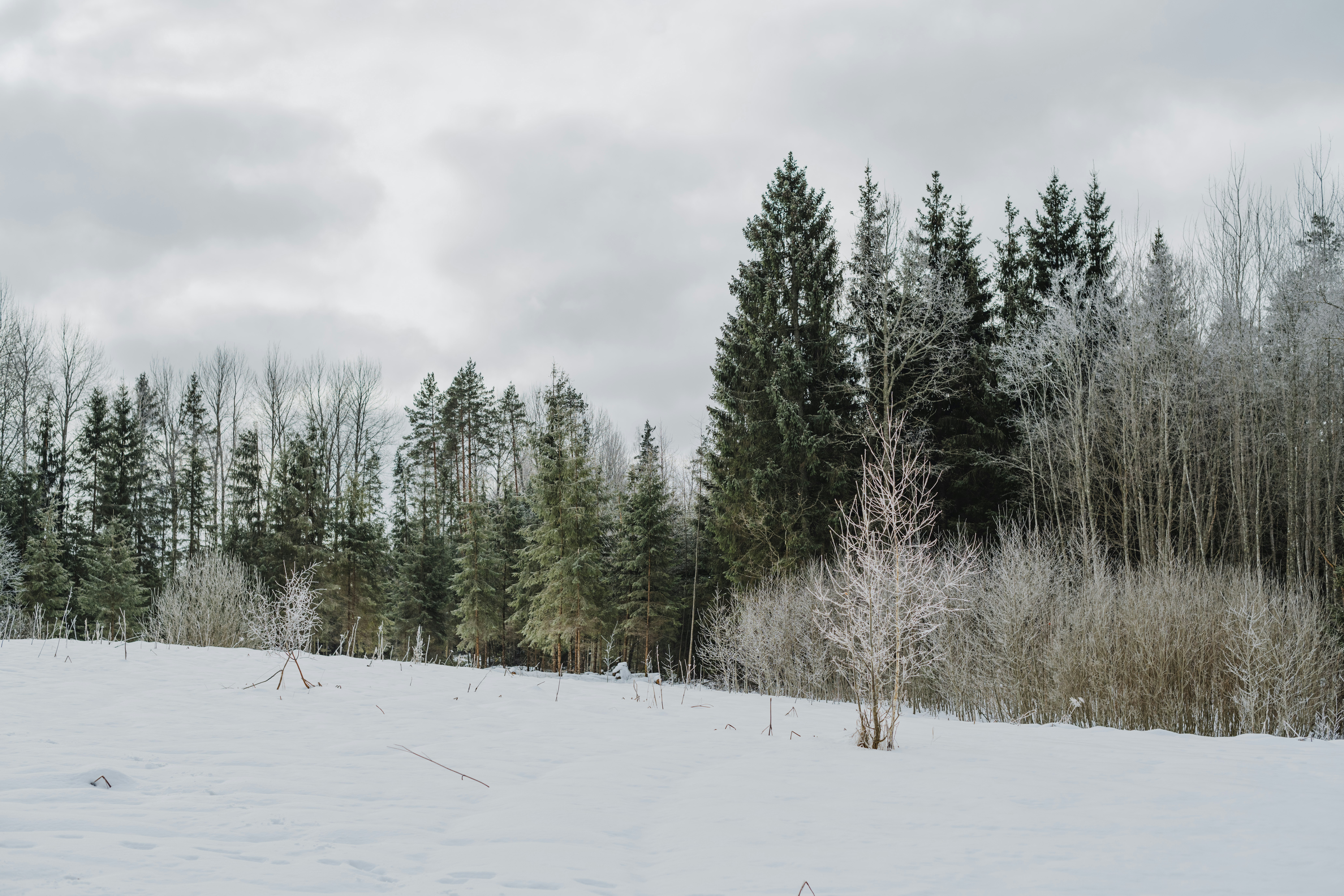 Photo by anitaaustvika