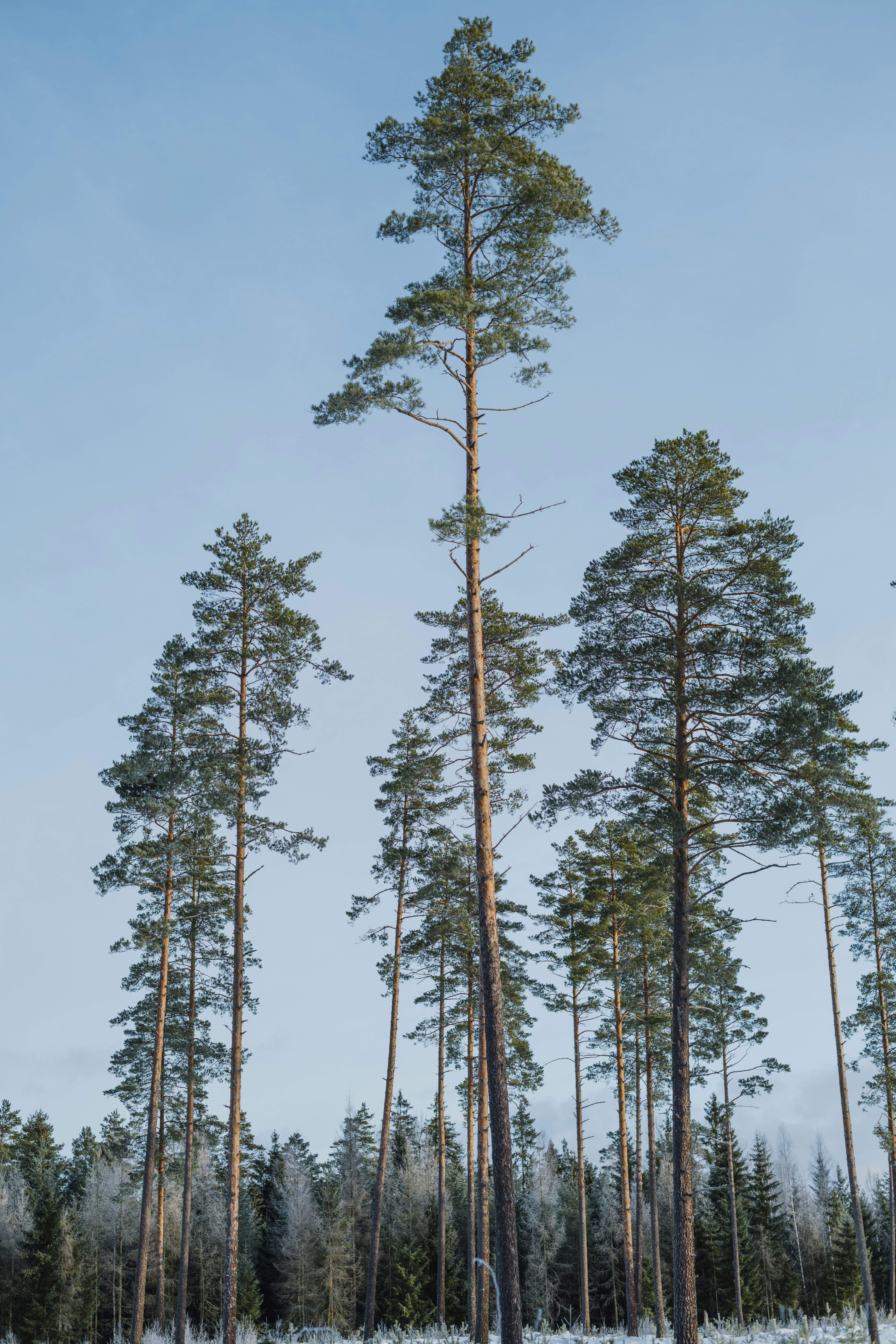 Photo by anitaaustvika