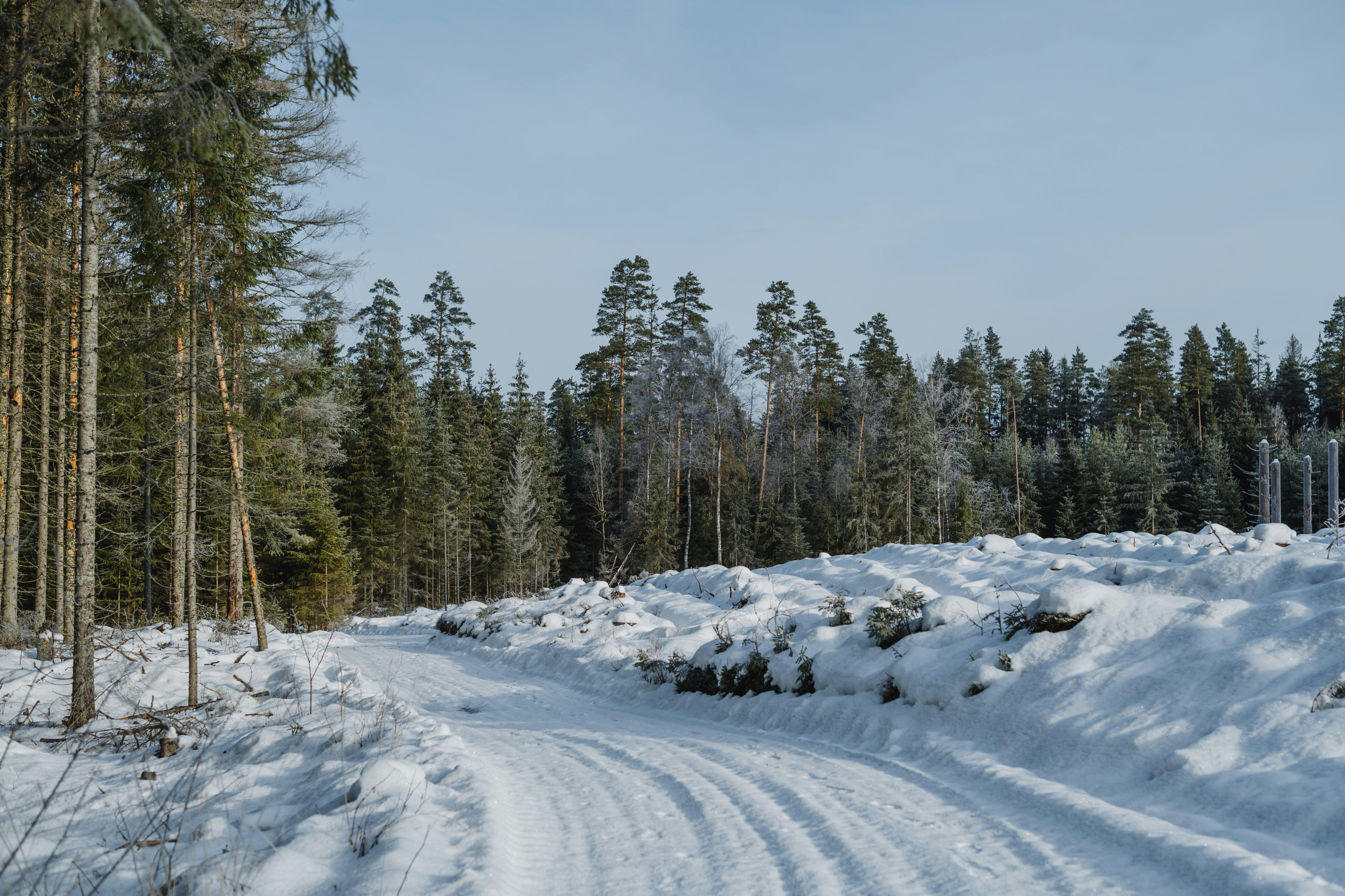 Photo by anitaaustvika