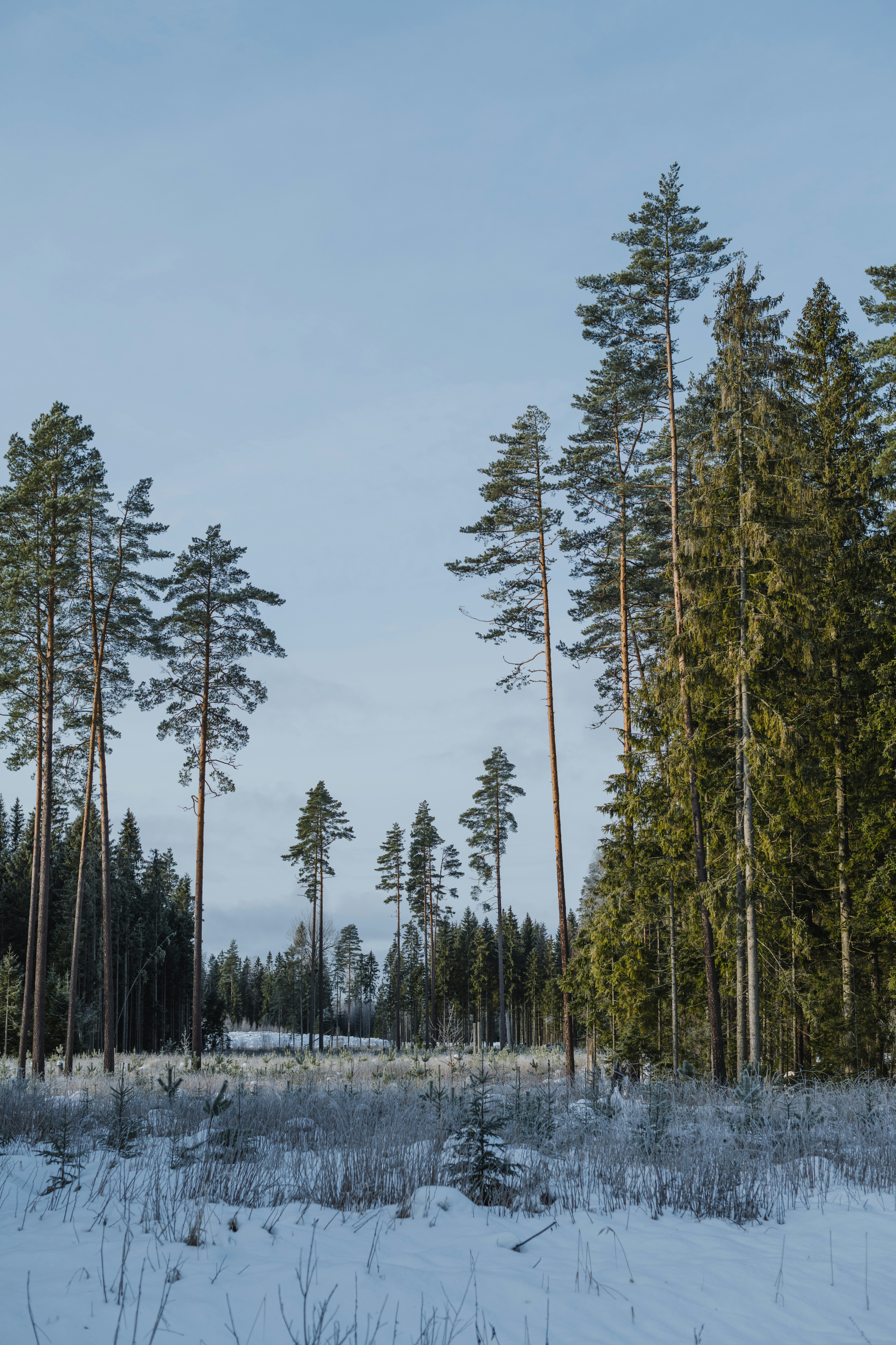 Photo by anitaaustvika