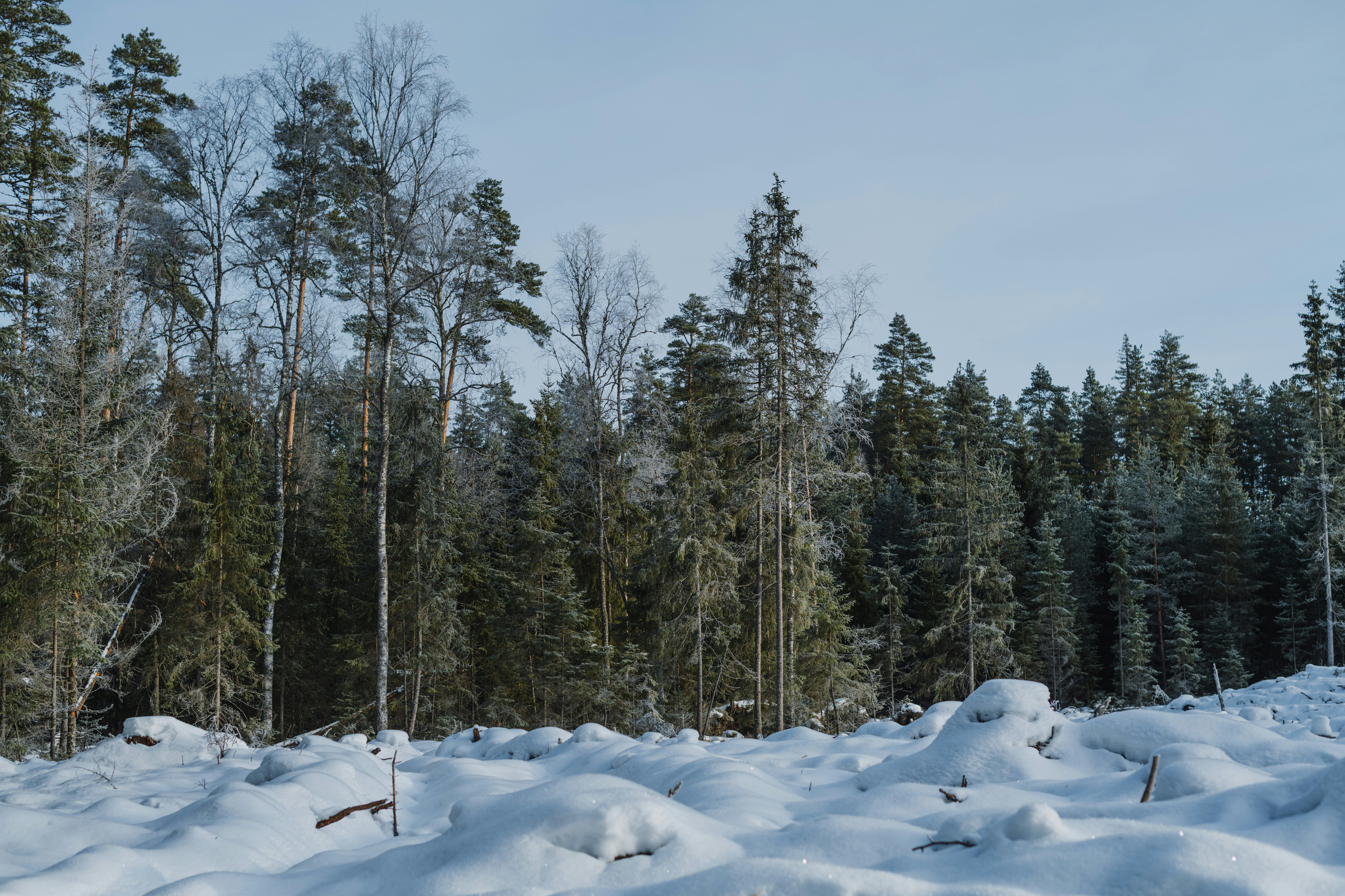 Photo by anitaaustvika