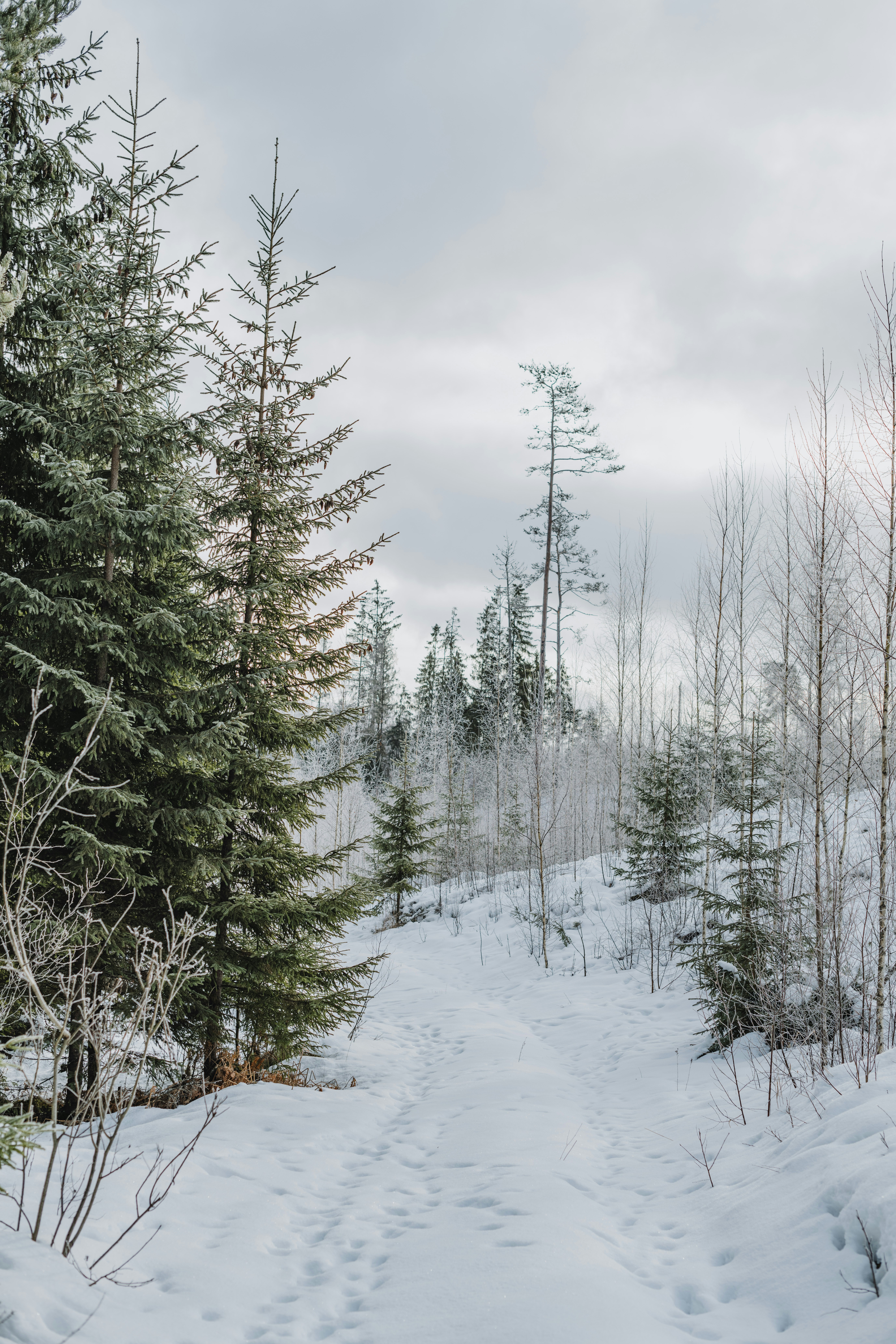 Photo by anitaaustvika