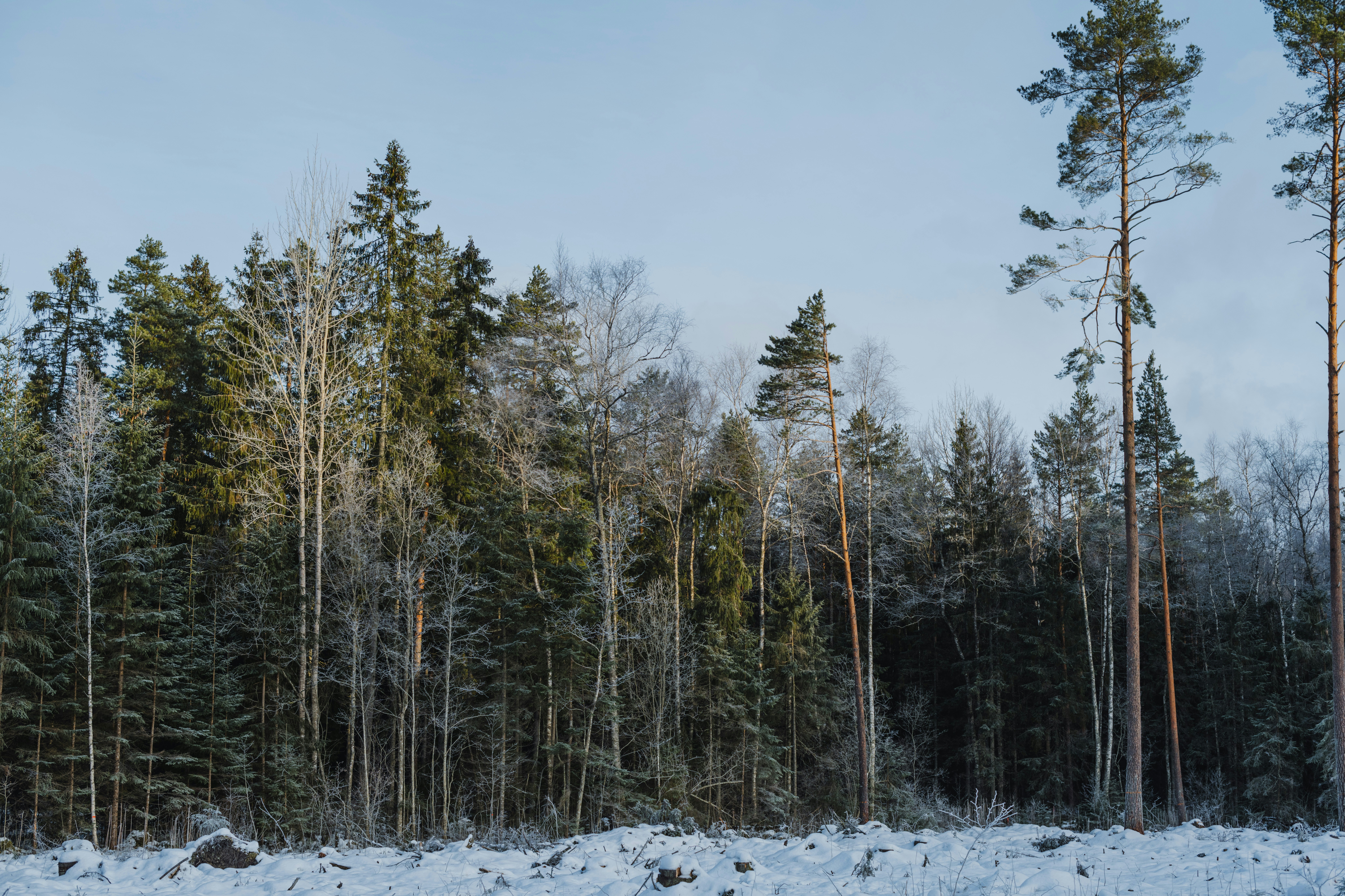 Photo by anitaaustvika