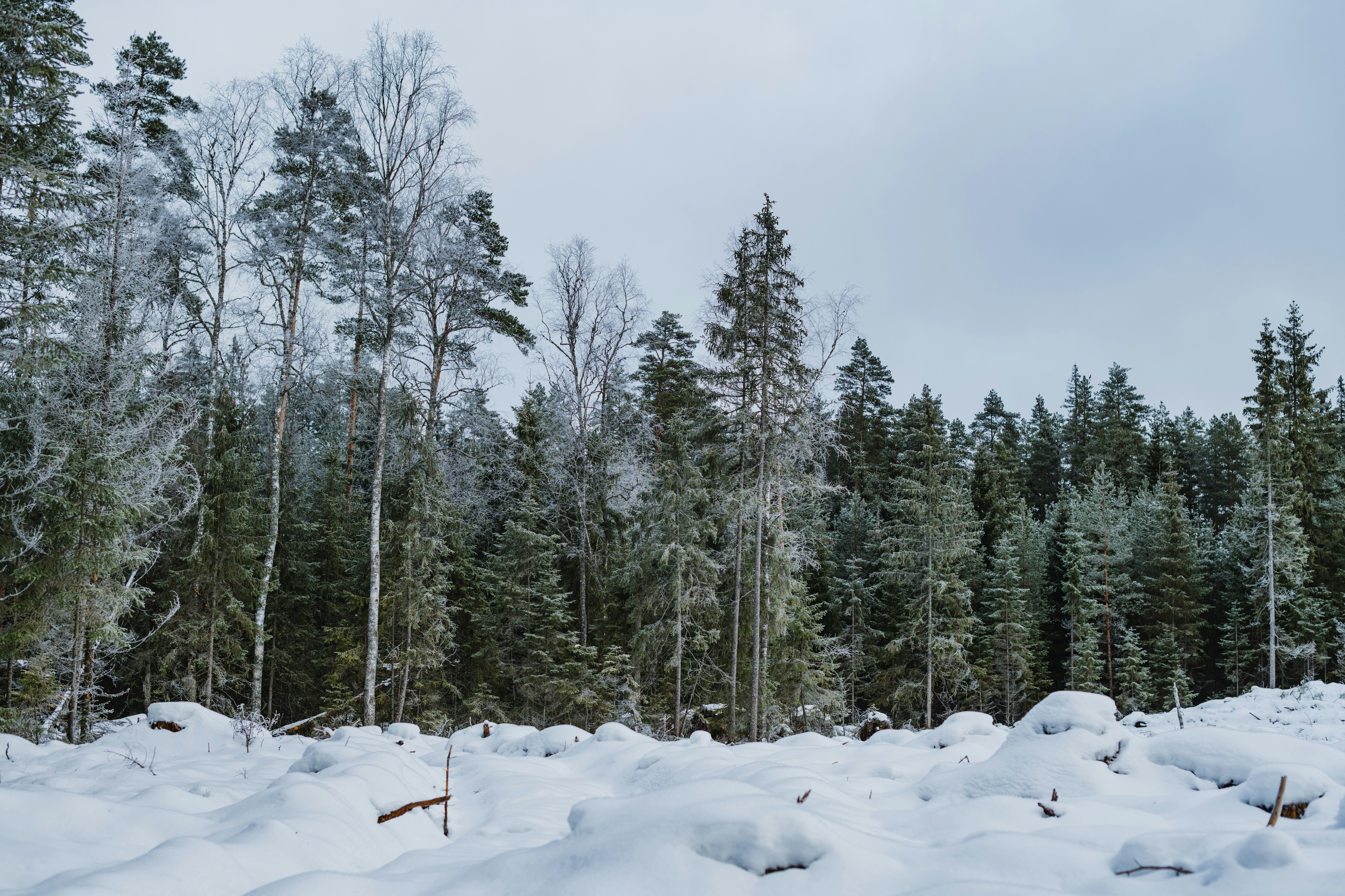 Photo by anitaaustvika