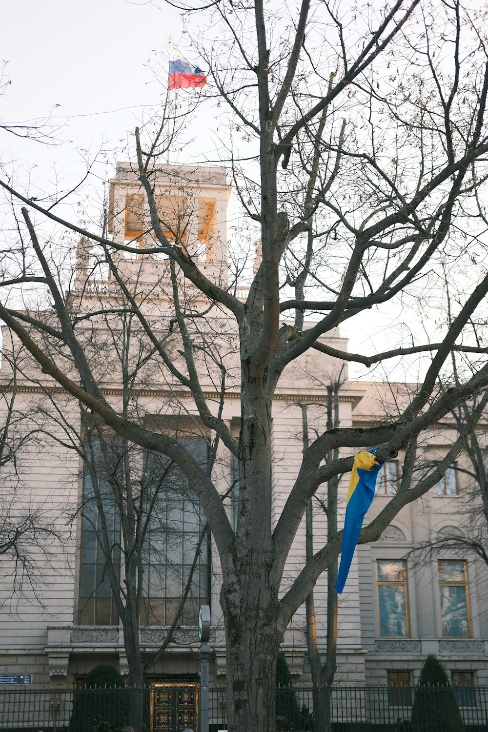 a blue kite stuck in a tree in front of a building