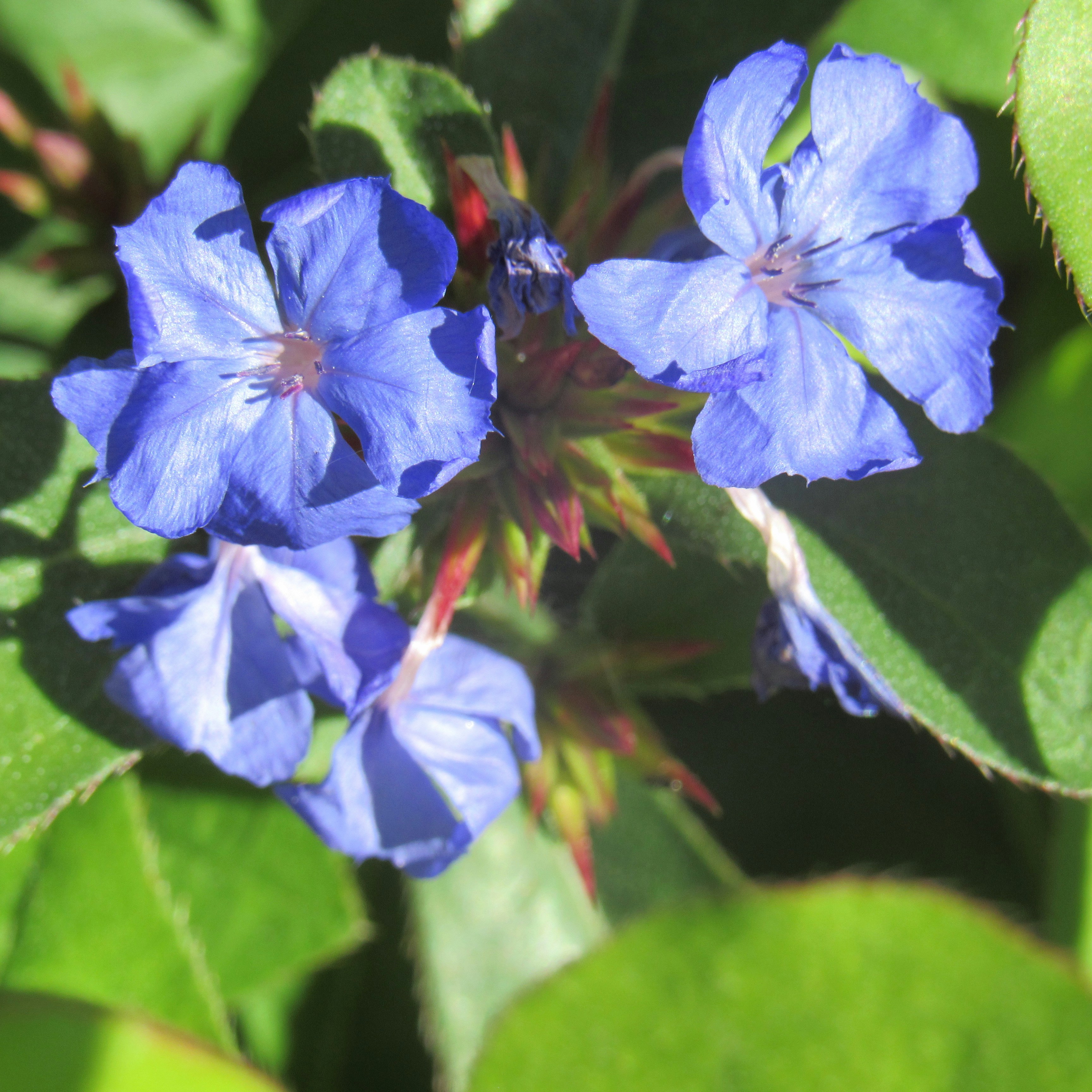 Photo by sierrasphotography03