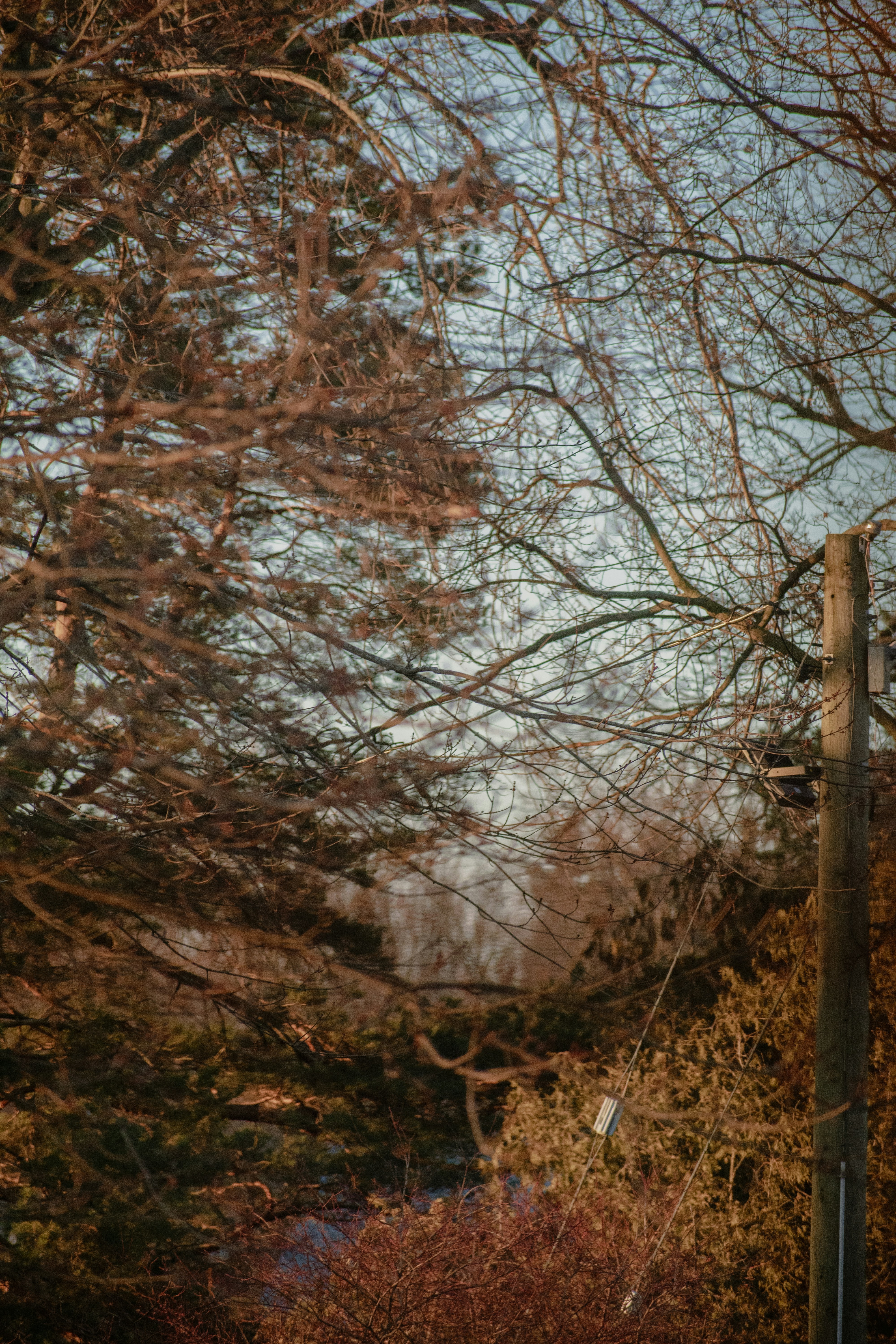 Photo by emilio_geremia