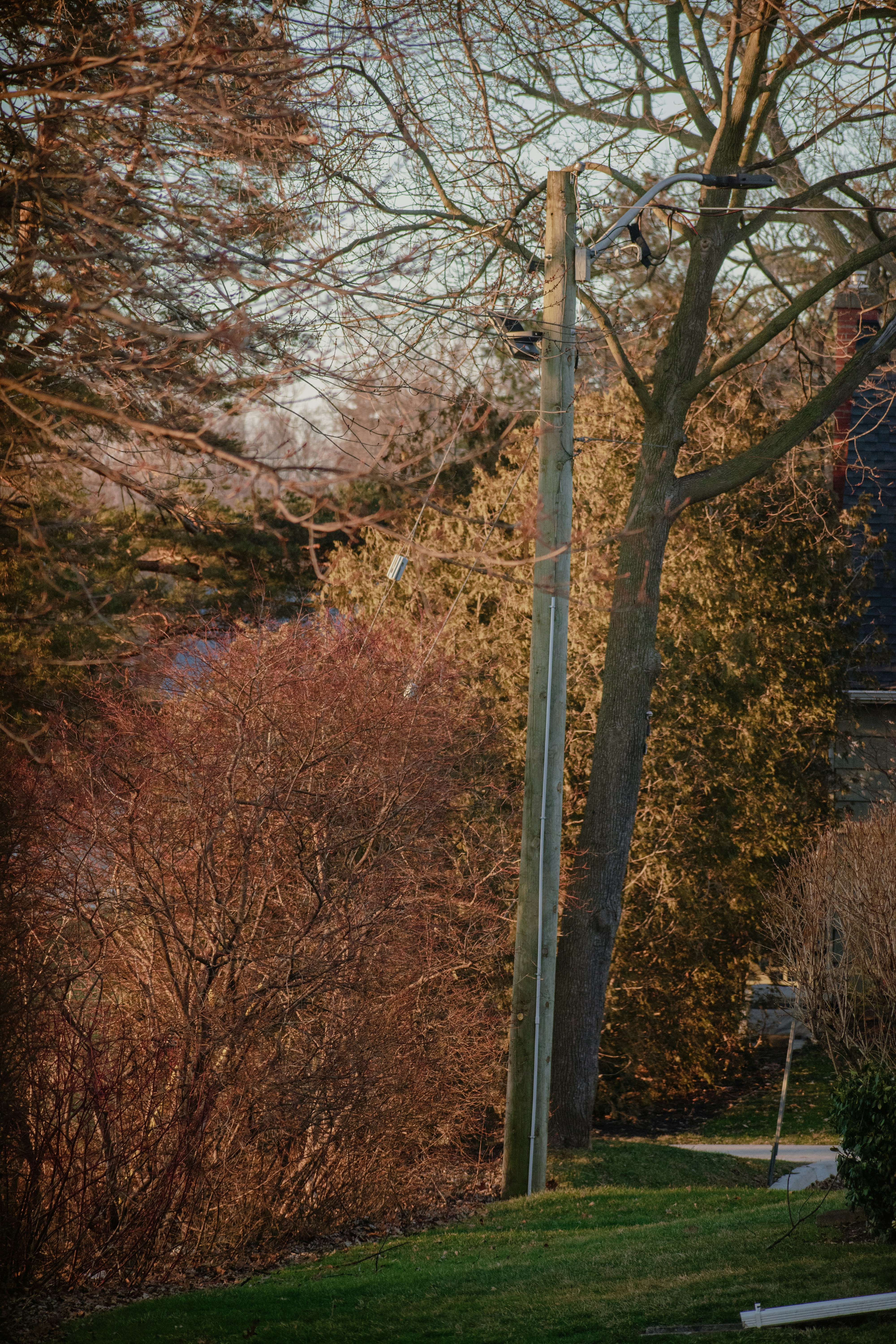 Photo by emilio_geremia