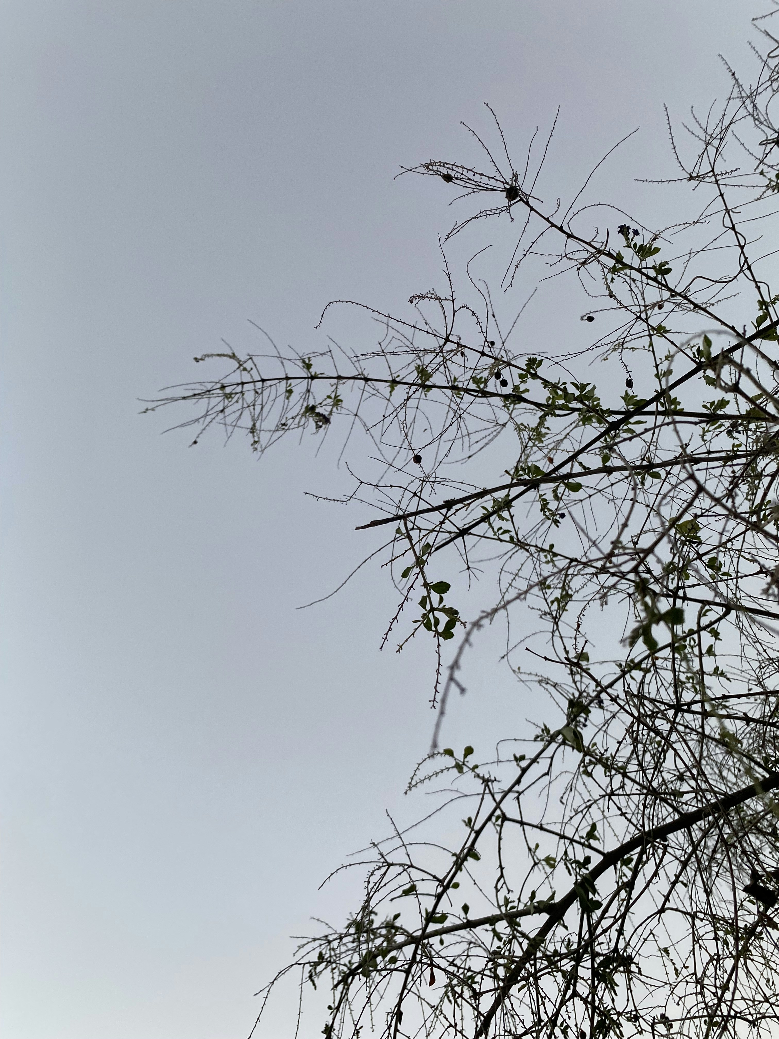 Photo by ac_ramirezz