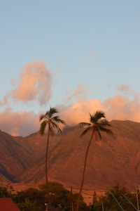 Experiencia Finca