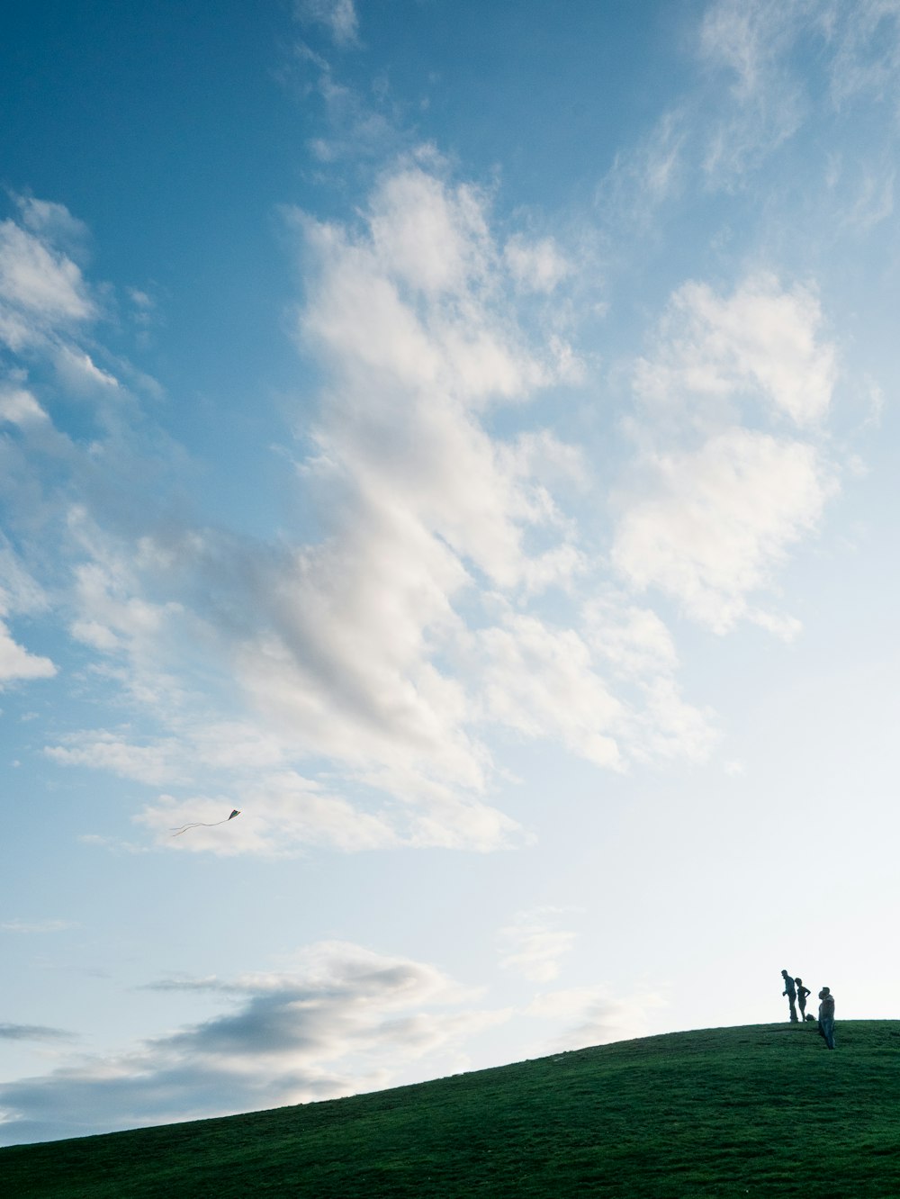 a couple of people standing on top of a lush green hillside