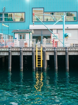 A waterfront scene featuring a blue industrial building with large windows and a crane. A yellow ladder is attached to the dock, descending into the reflective water. The dock has signage indicating 'Taxies Only'.