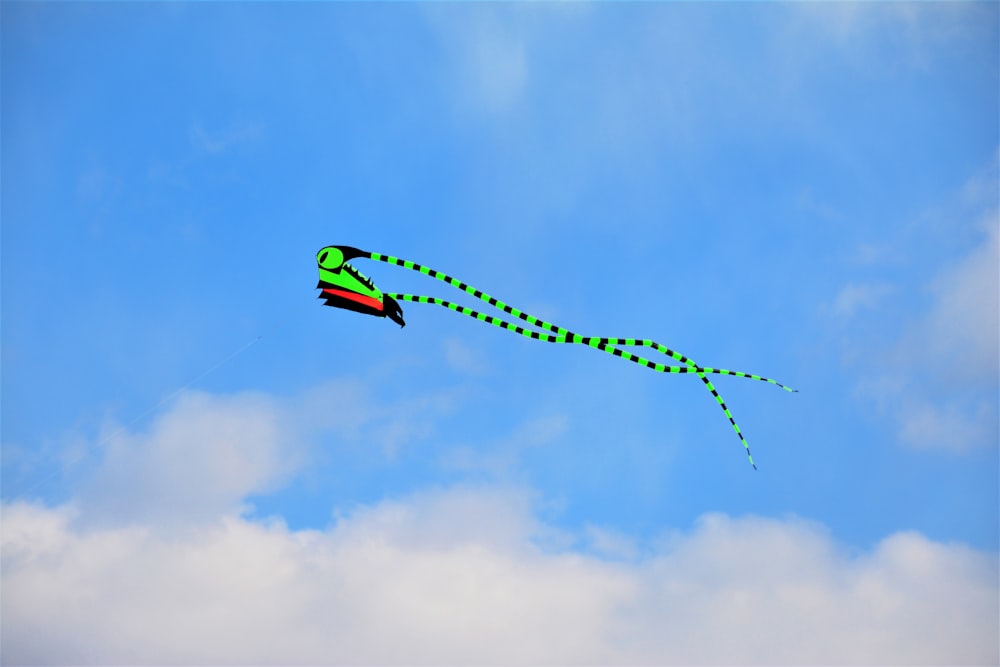 a green and red kite flying in the sky