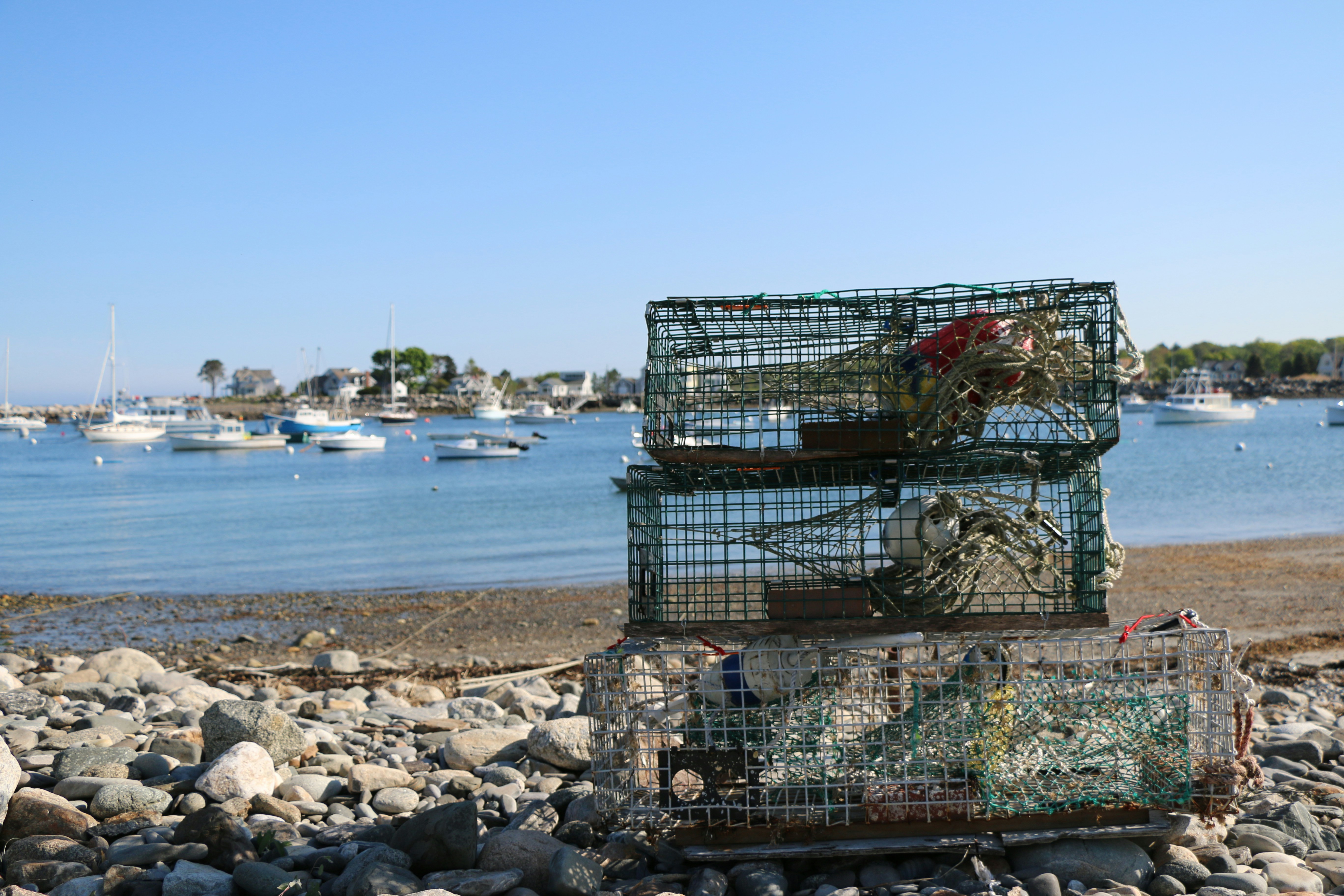a couple of cages sitting on top of a pile of rocks