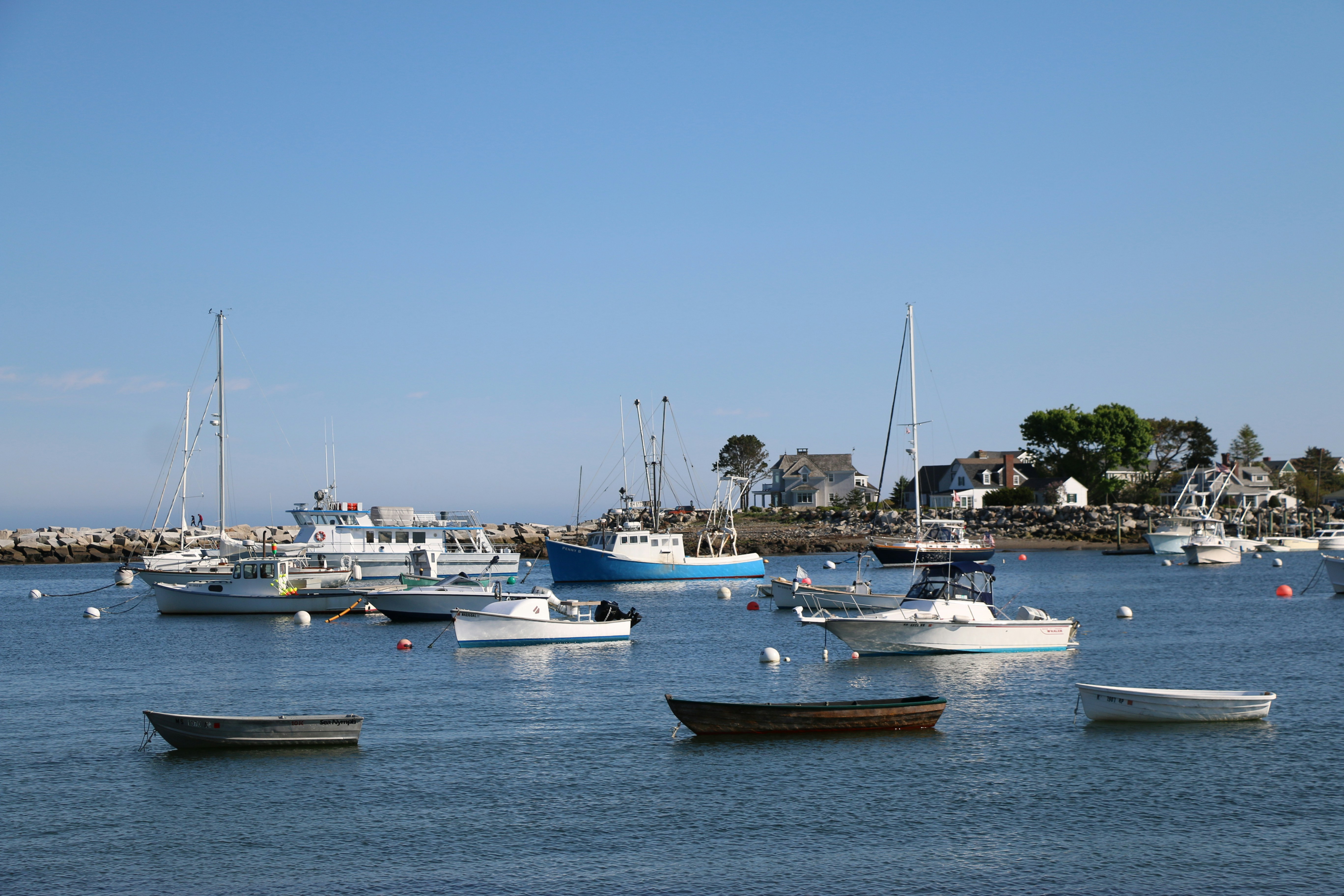 수역 위에 떠 있는 보트 그룹