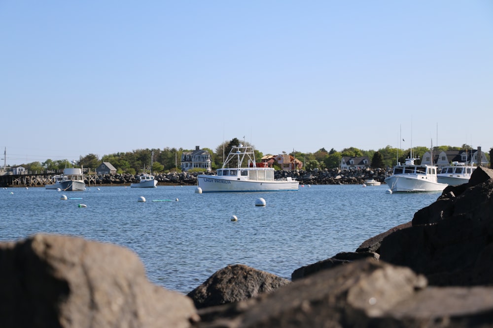 a body of water filled with lots of boats