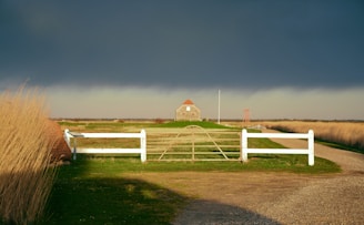 A small house with a red roof sits at the end of a grassy pathway, surrounded by a wooden fence. The sky is filled with dark, heavy clouds, creating a dramatic contrast with the vibrant green grass and the light brown reeds swaying on either side of the path.