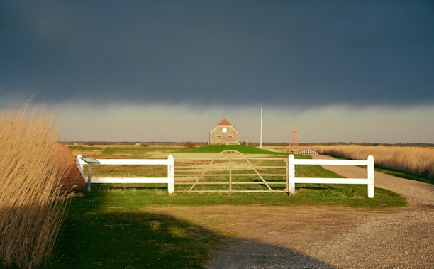 A small house with a red roof sits at the end of a grassy pathway, surrounded by a wooden fence. The sky is filled with dark, heavy clouds, creating a dramatic contrast with the vibrant green grass and the light brown reeds swaying on either side of the path.