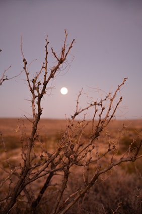 a full moon rising over a desert landscape
