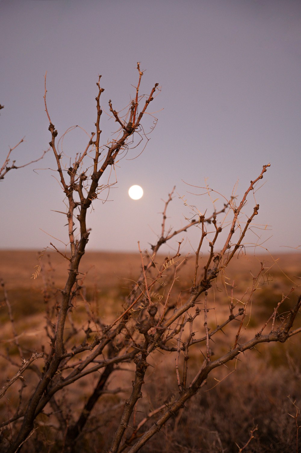 a full moon rising over a desert landscape