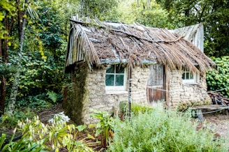 An old stone house in Rohan surrounded by lush greenery, symbolizing heritage and nature.