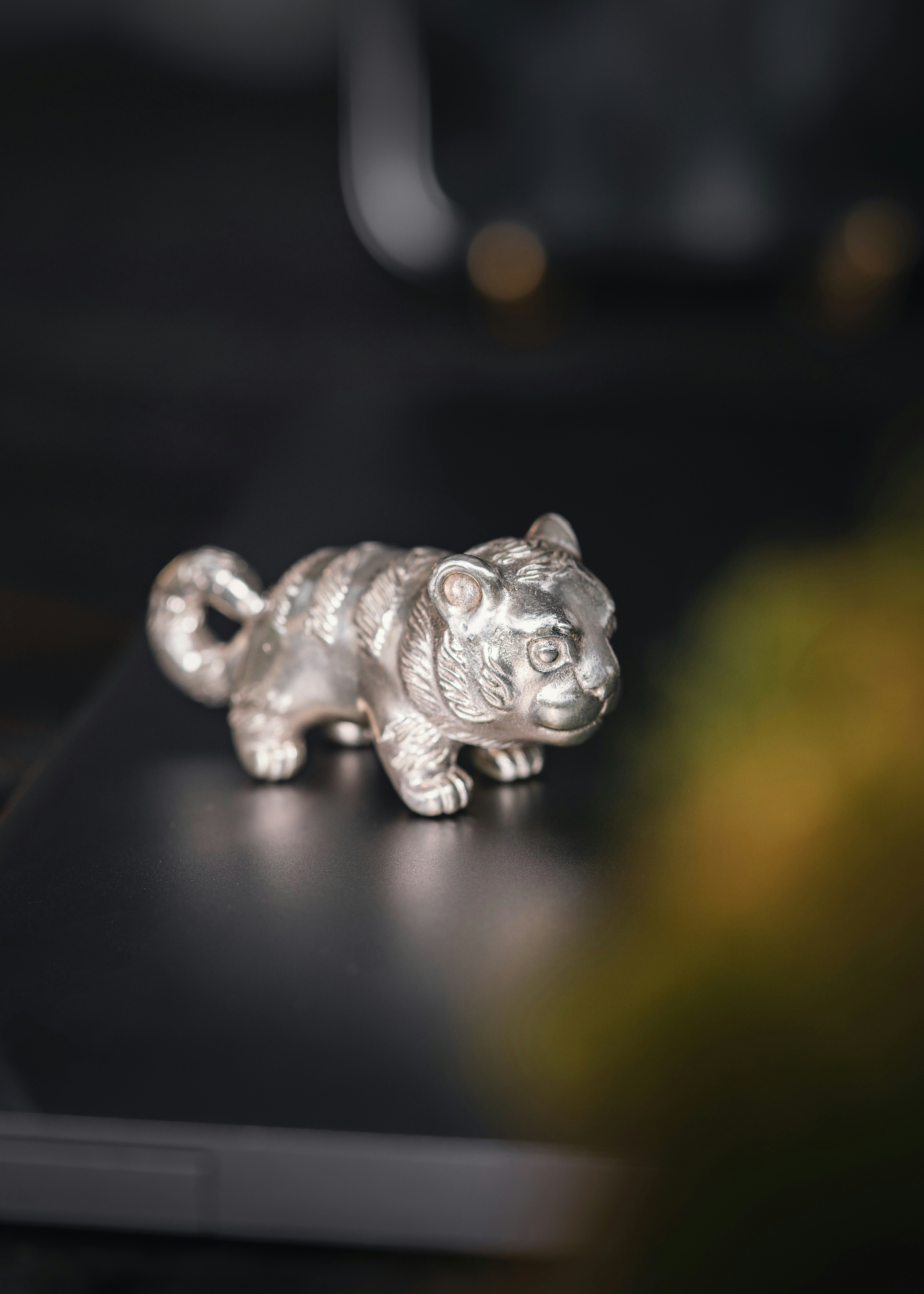 Photo by coppertistwu