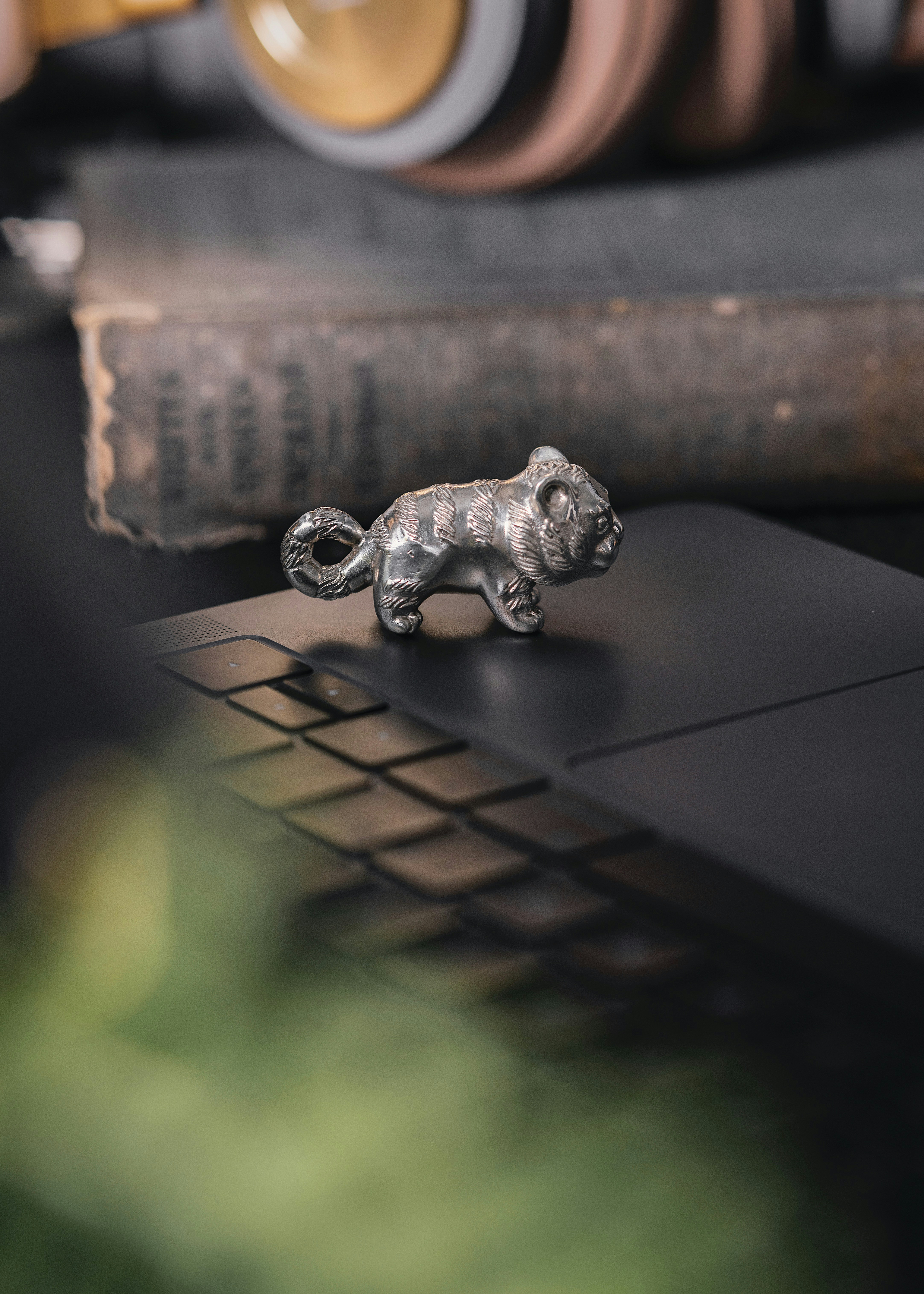 Photo by coppertistwu