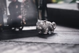 An artistic shot capturing a subtle rat figurine placed thoughtfully, reflecting Taras's zodiac sign and personality.