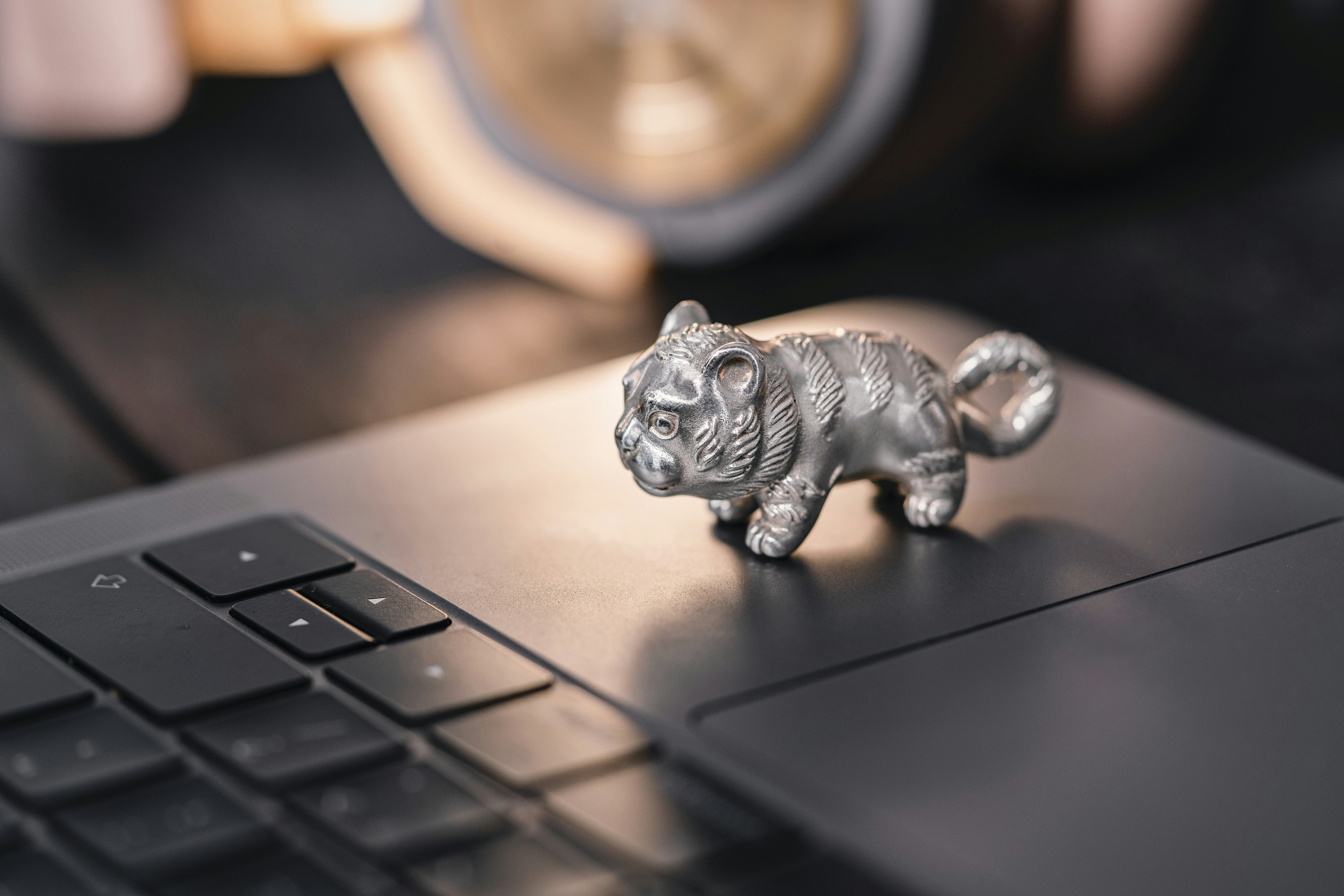 Photo by coppertistwu