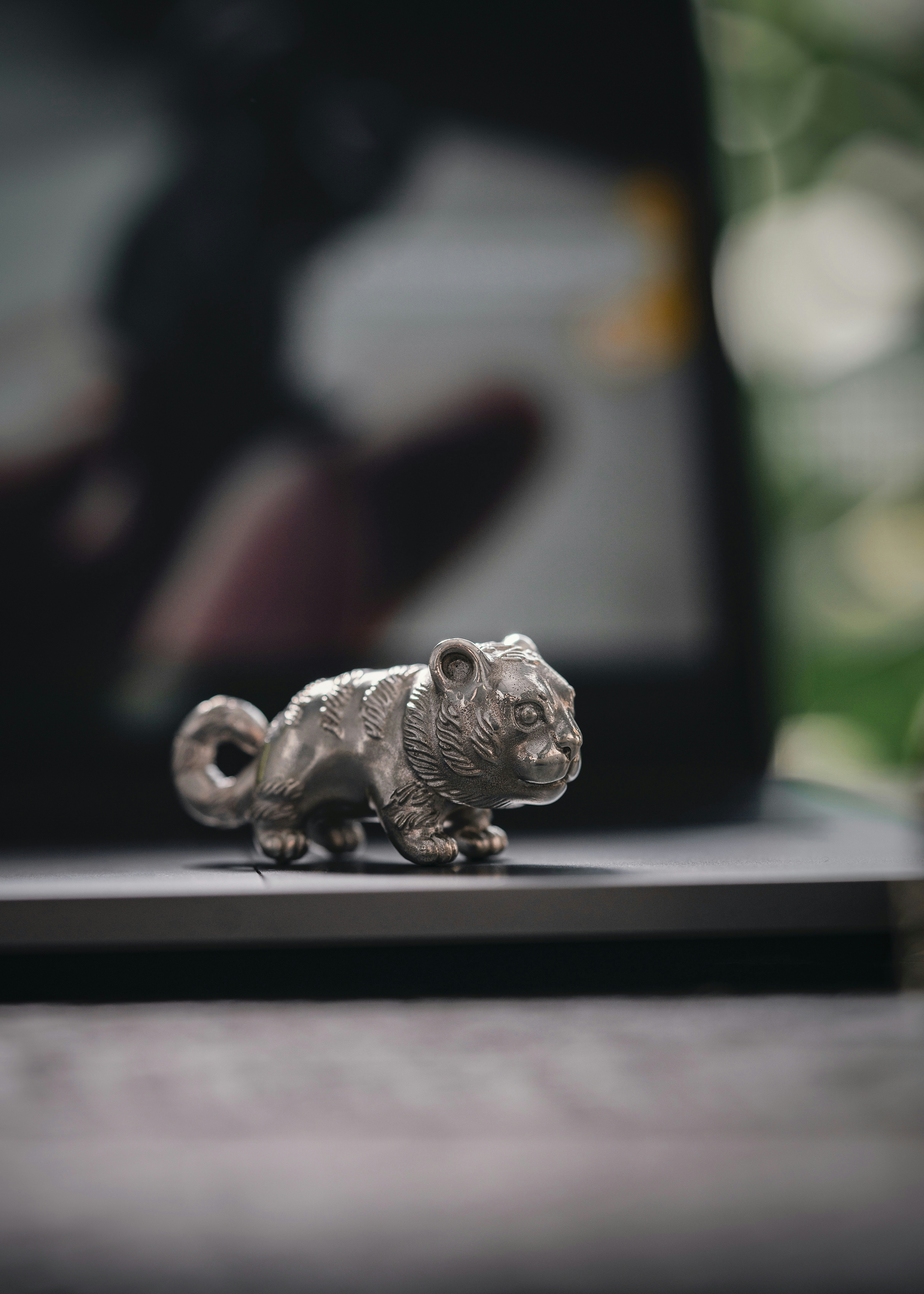 Photo by coppertistwu