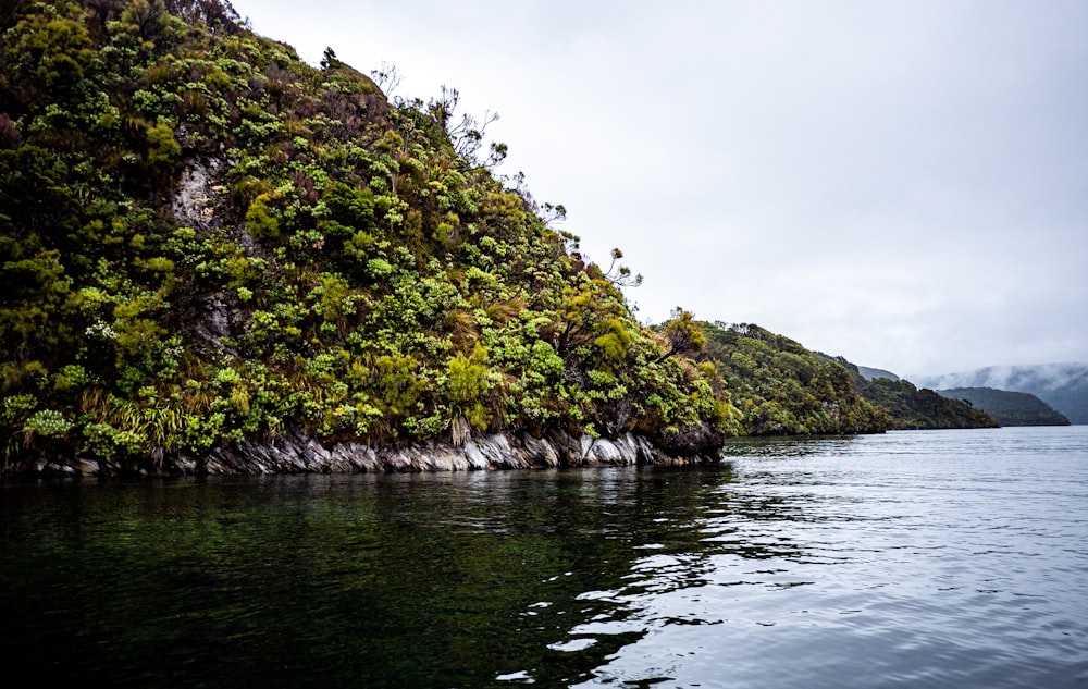 a body of water surrounded by a lush green hillside