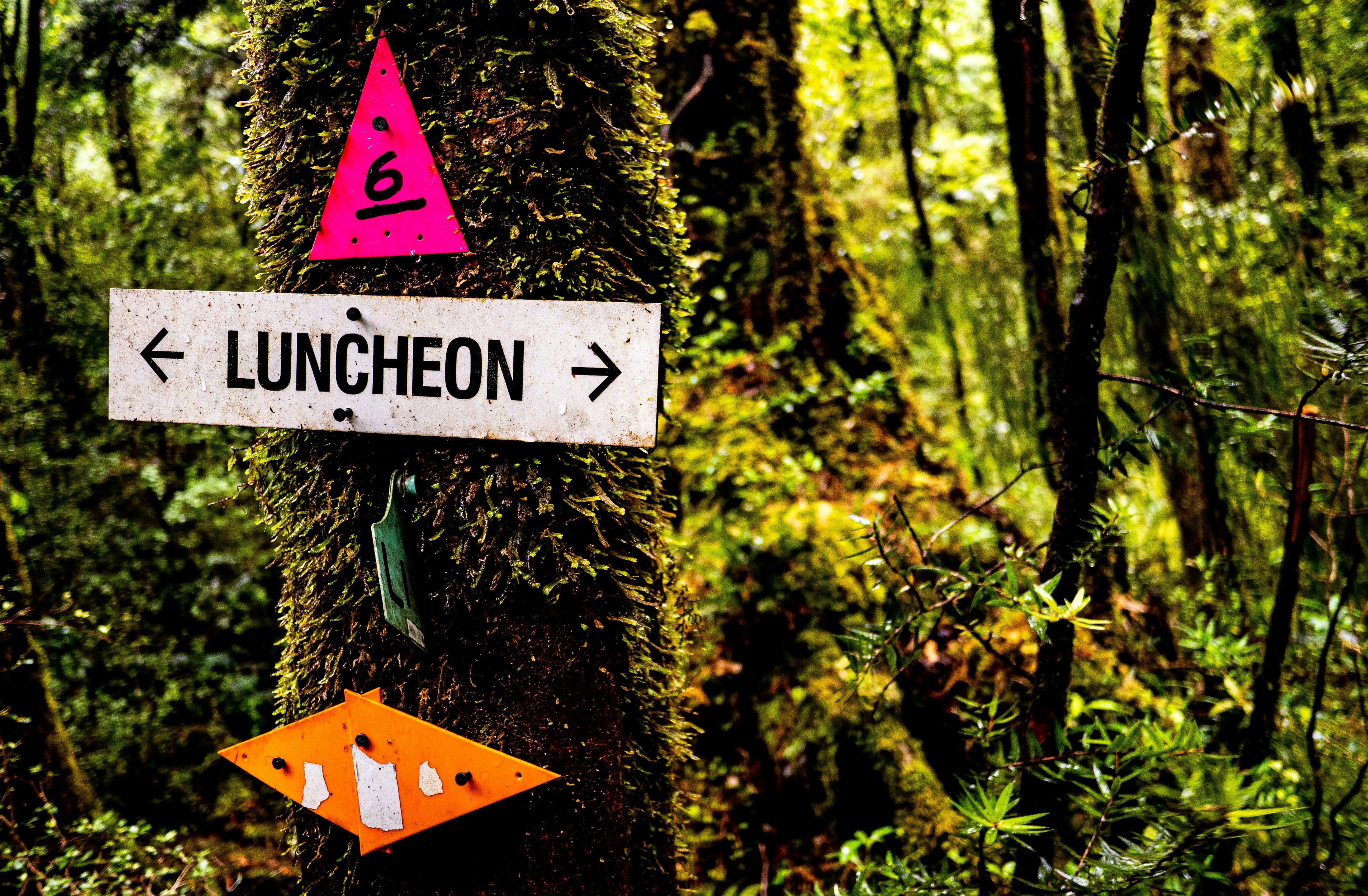 a sign that is on a tree in the woods