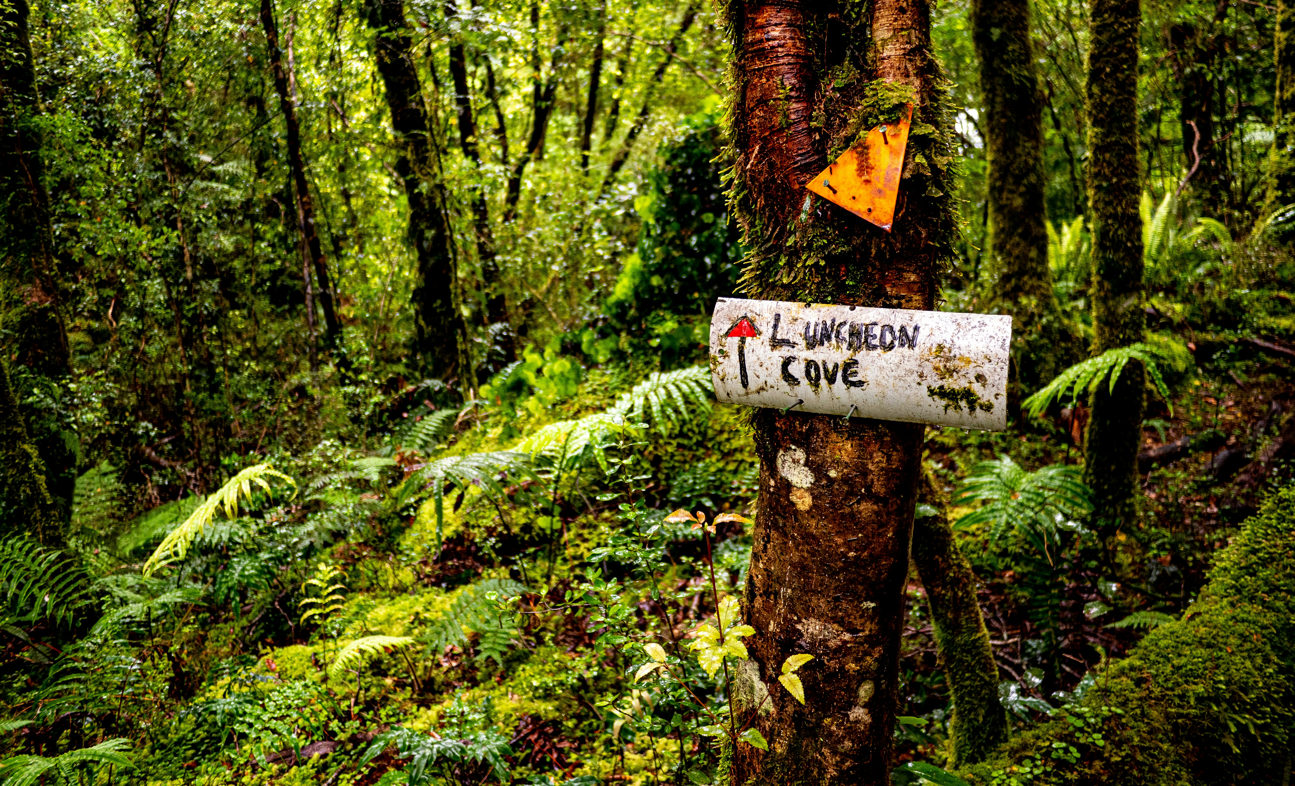 Heartfelt John Muir Quotes & Wishes for Nature Lovers