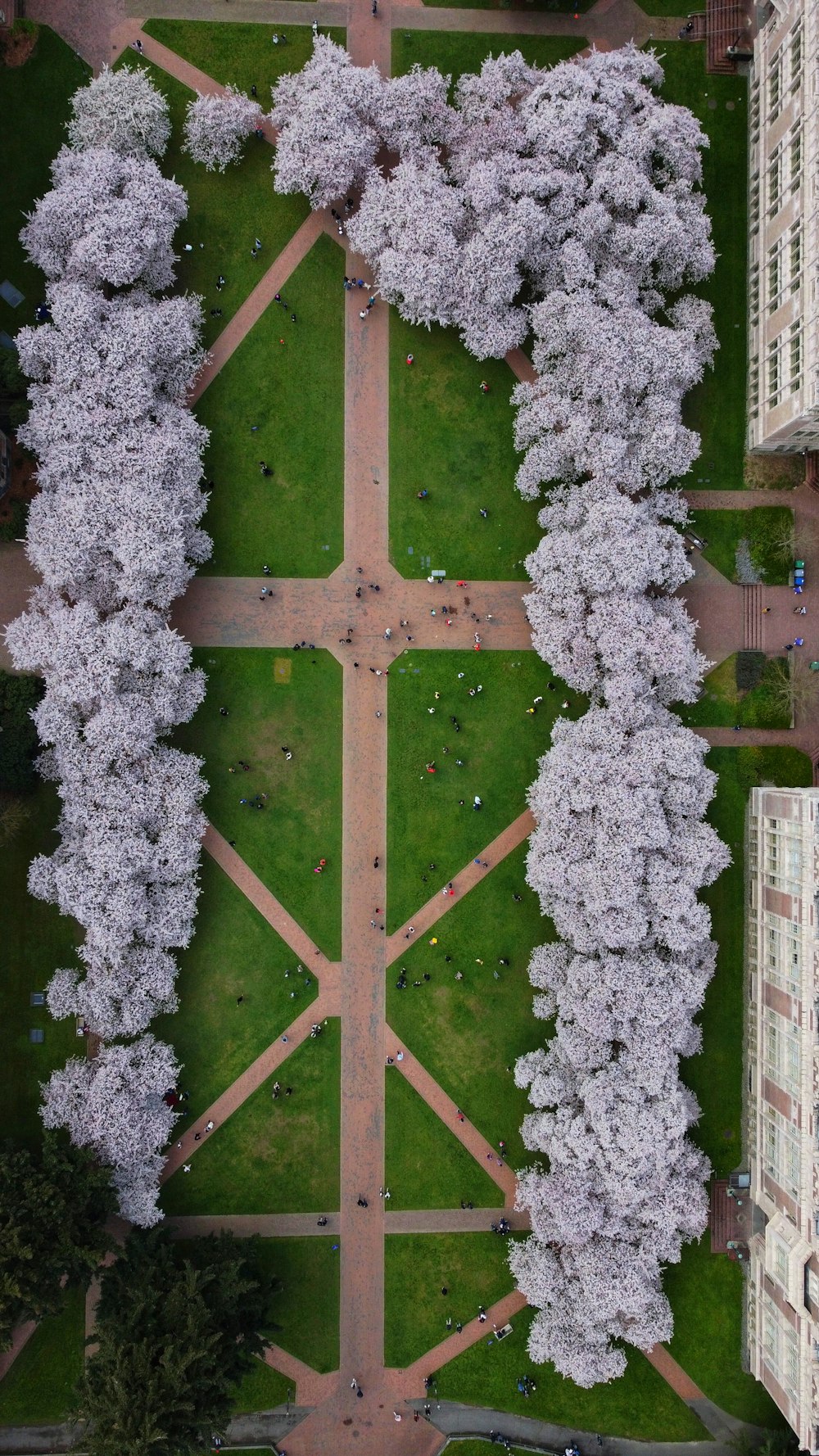an aerial view of a park with lots of trees