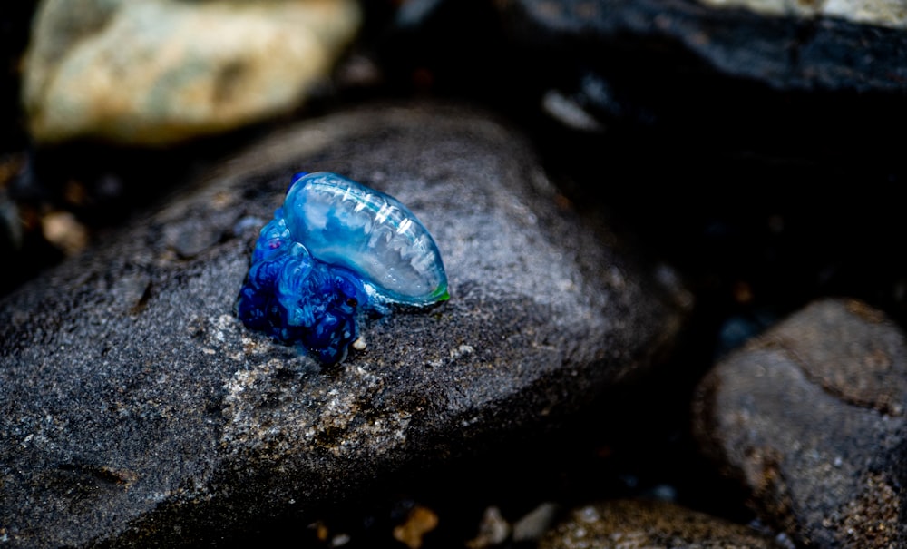 a blue glass ring sitting on top of a rock