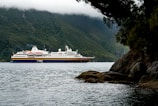 A large cruise ship sails on a calm body of water surrounded by lush green mountains. The sky is overcast, with low clouds partially covering the mountain peaks. In the foreground, a tree overhangs above rocky terrain at the water's edge.