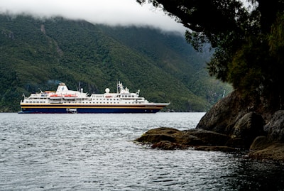 A large cruise ship sails on a calm body of water surrounded by lush green mountains. The sky is overcast, with low clouds partially covering the mountain peaks. In the foreground, a tree overhangs above rocky terrain at the water's edge.