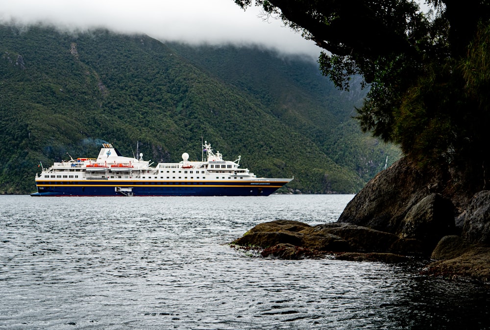 a large cruise ship in a body of water