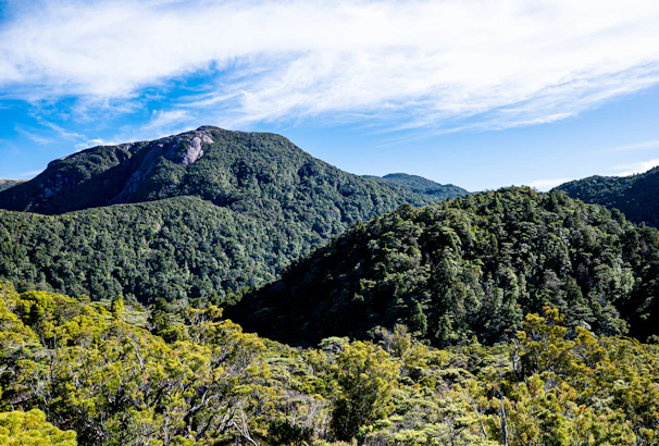 The rugged green mountains of Santo Antão under a clear blue sky.