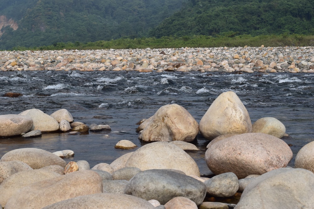 a river with lots of rocks in it