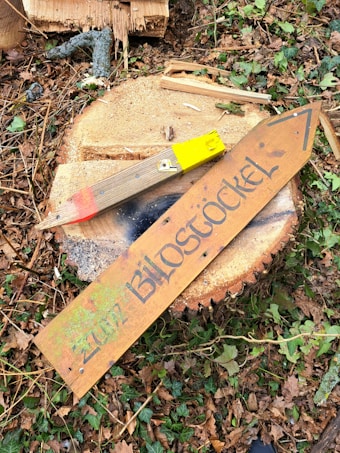 A wooden sign with carved and painted letters resting on a tree stump surrounded by chopped wood and forest debris. The sign features the text 'Zum Biost&ouml;ckel' and an arrow. A paintbrush with a yellow handle and red and yellow paint lies diagonally across the stump. Leaves and branches are scattered around the base of the stump.