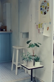 A small indoor space features a white stool next to a small table holding two potted plants with green leaves. The area has light blue tiles on the floor and a partially visible counter with a basket and some cups. The wall is decorated with colorful posters and pamphlets, giving a cozy and artistic vibe.