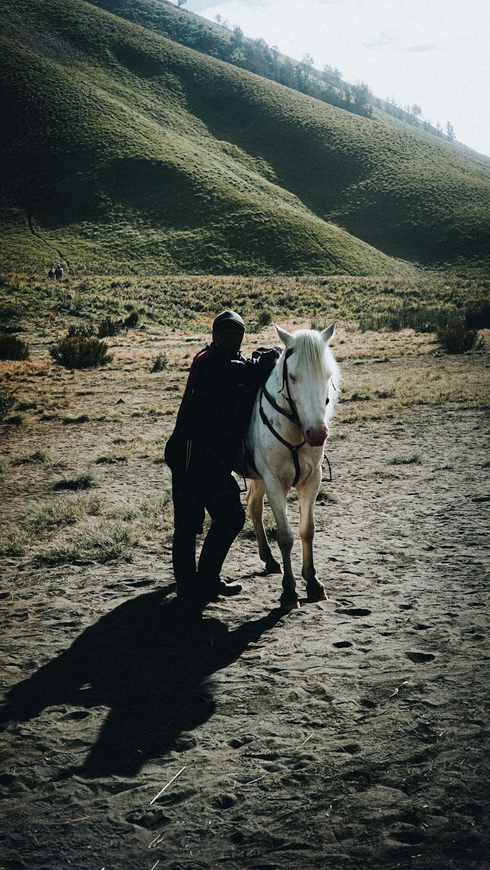 a man walking a white horse down a dirt road