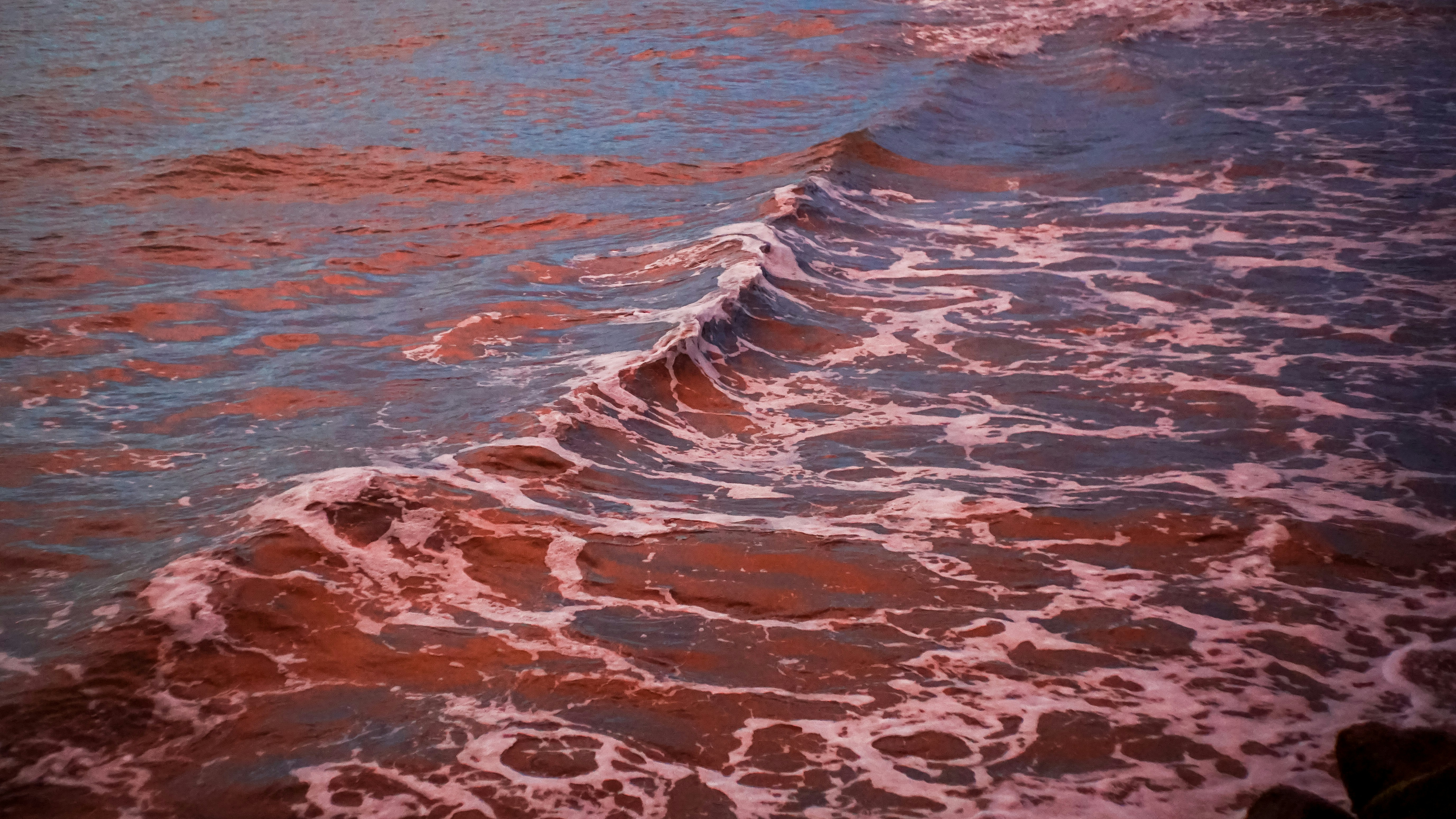 Photo by chinesesadboi