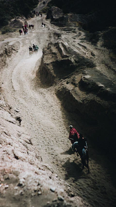 A group of riders on horseback winding through a sunlit forest trail with mountains in the background.