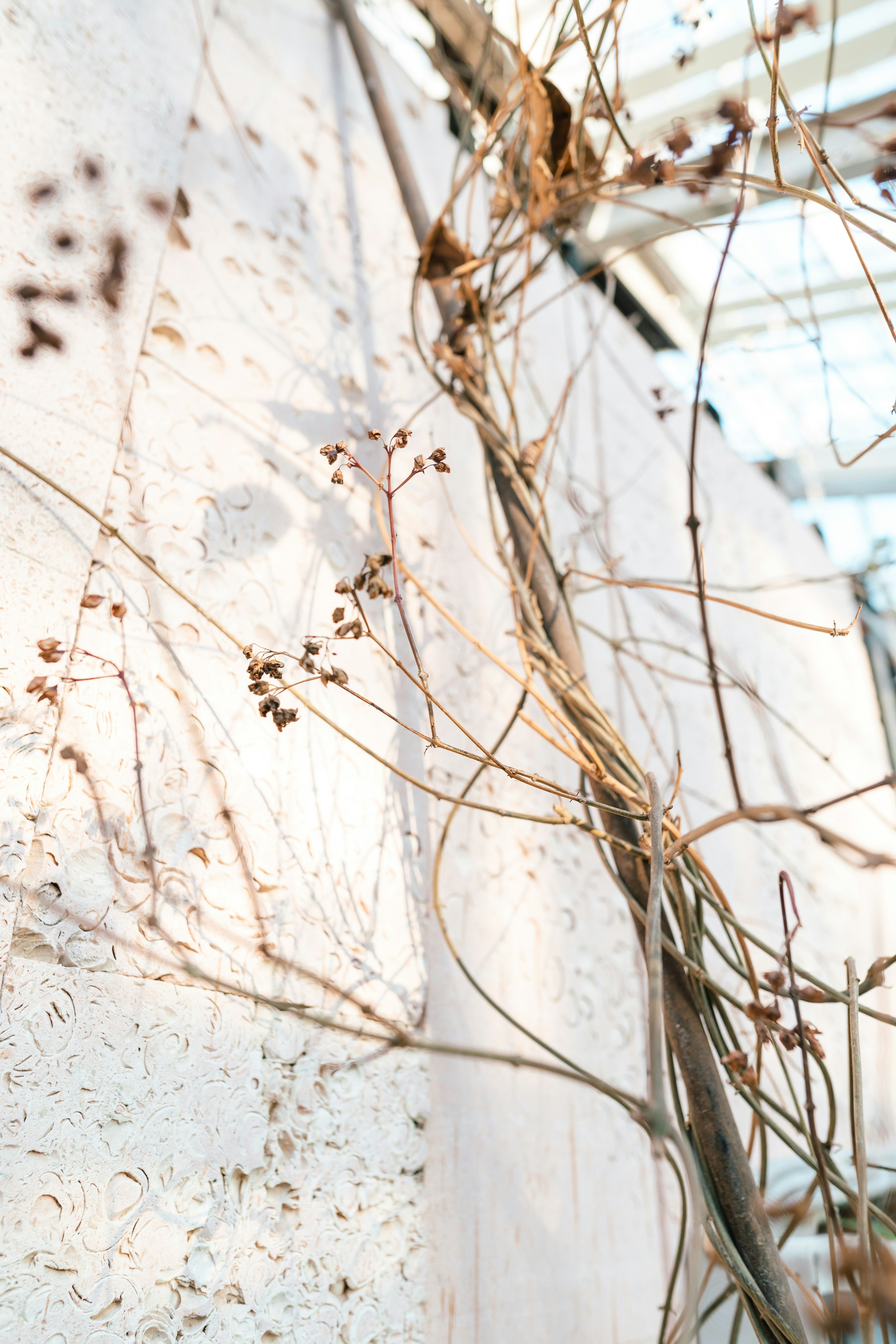 Photo by anamnesis33