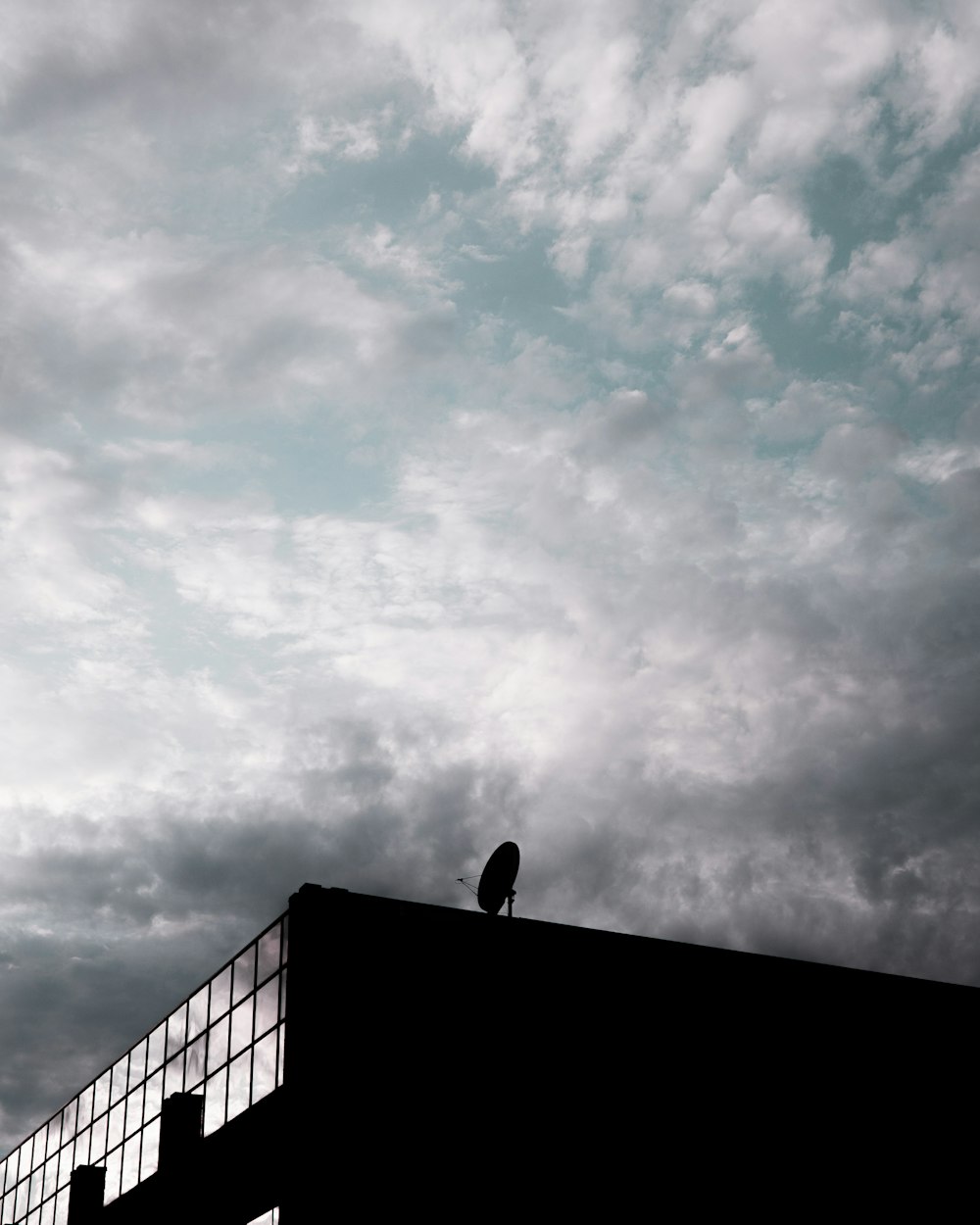 a bird sitting on top of a building under a cloudy sky