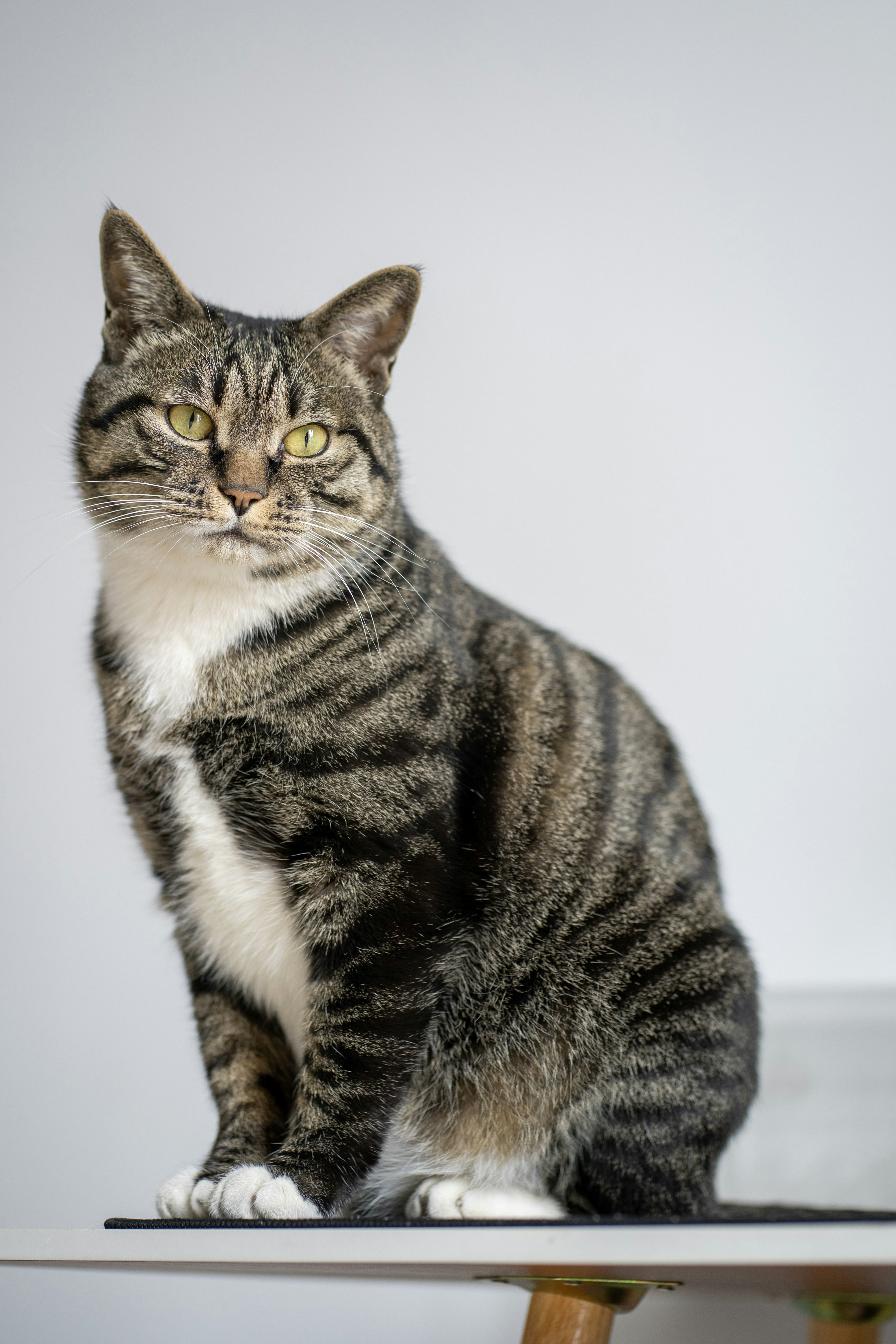 Photo by yooho962464