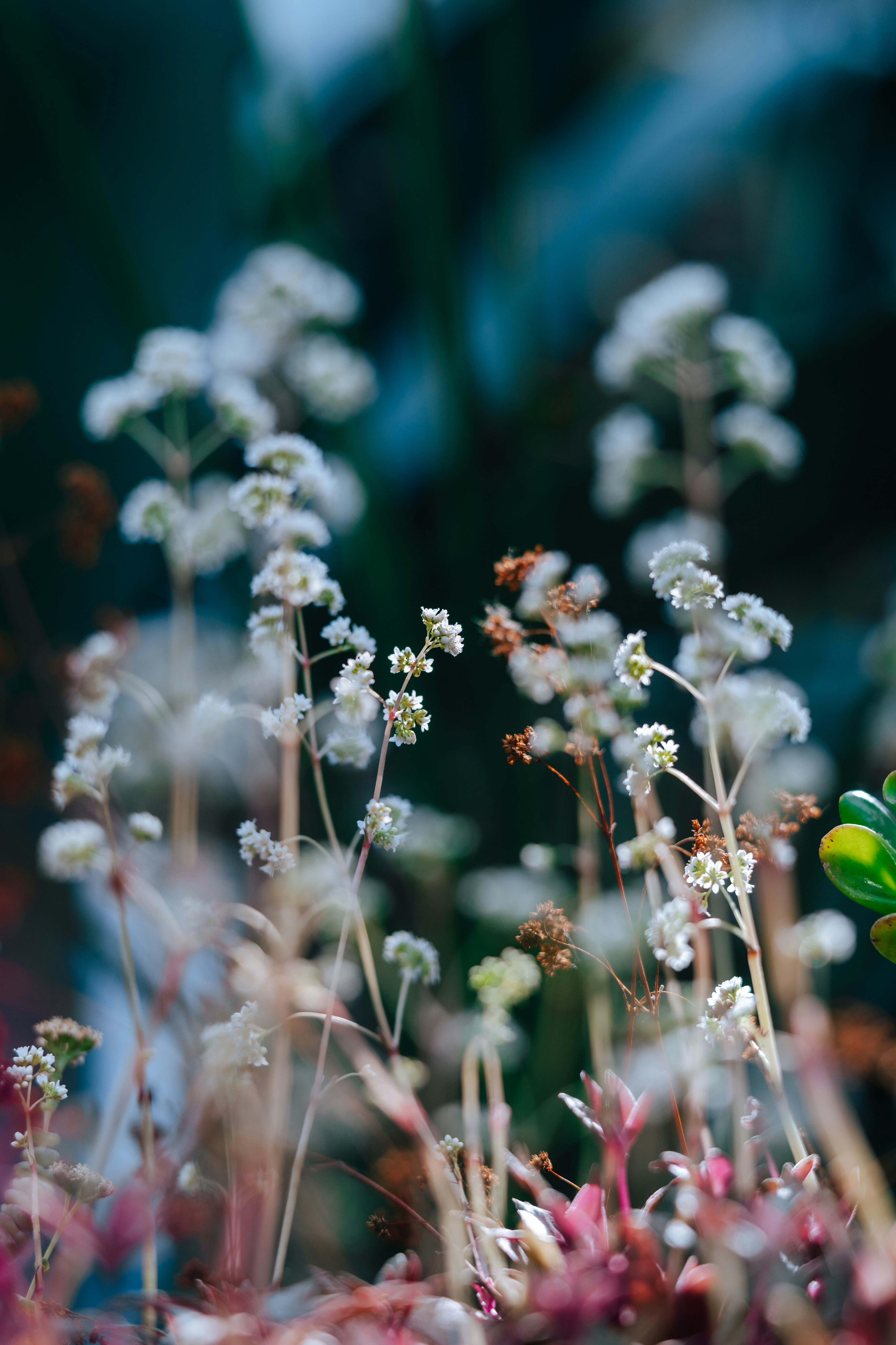 Photo by anamnesis33